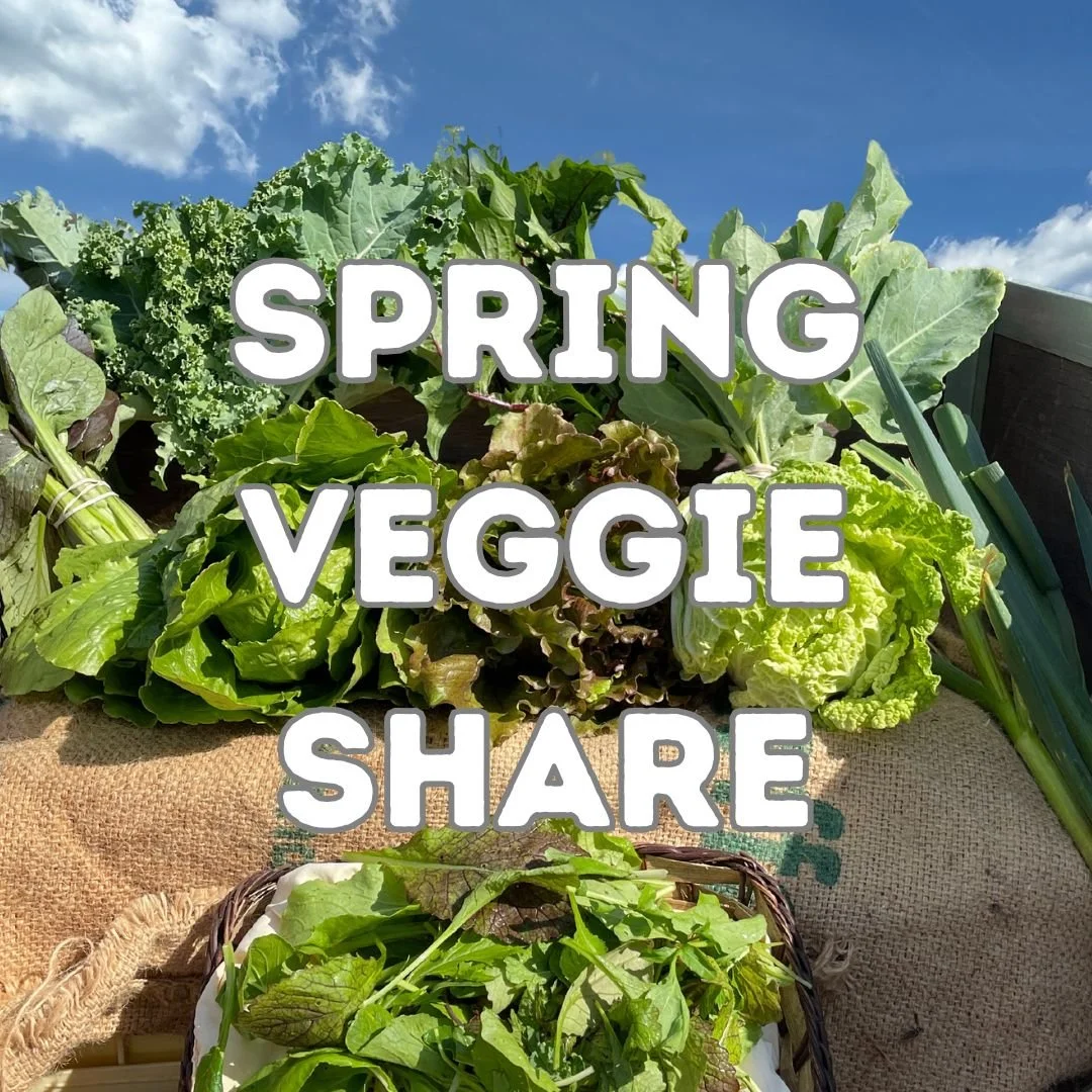 CSA Inventory Spring Veg 25' 1 .jpg