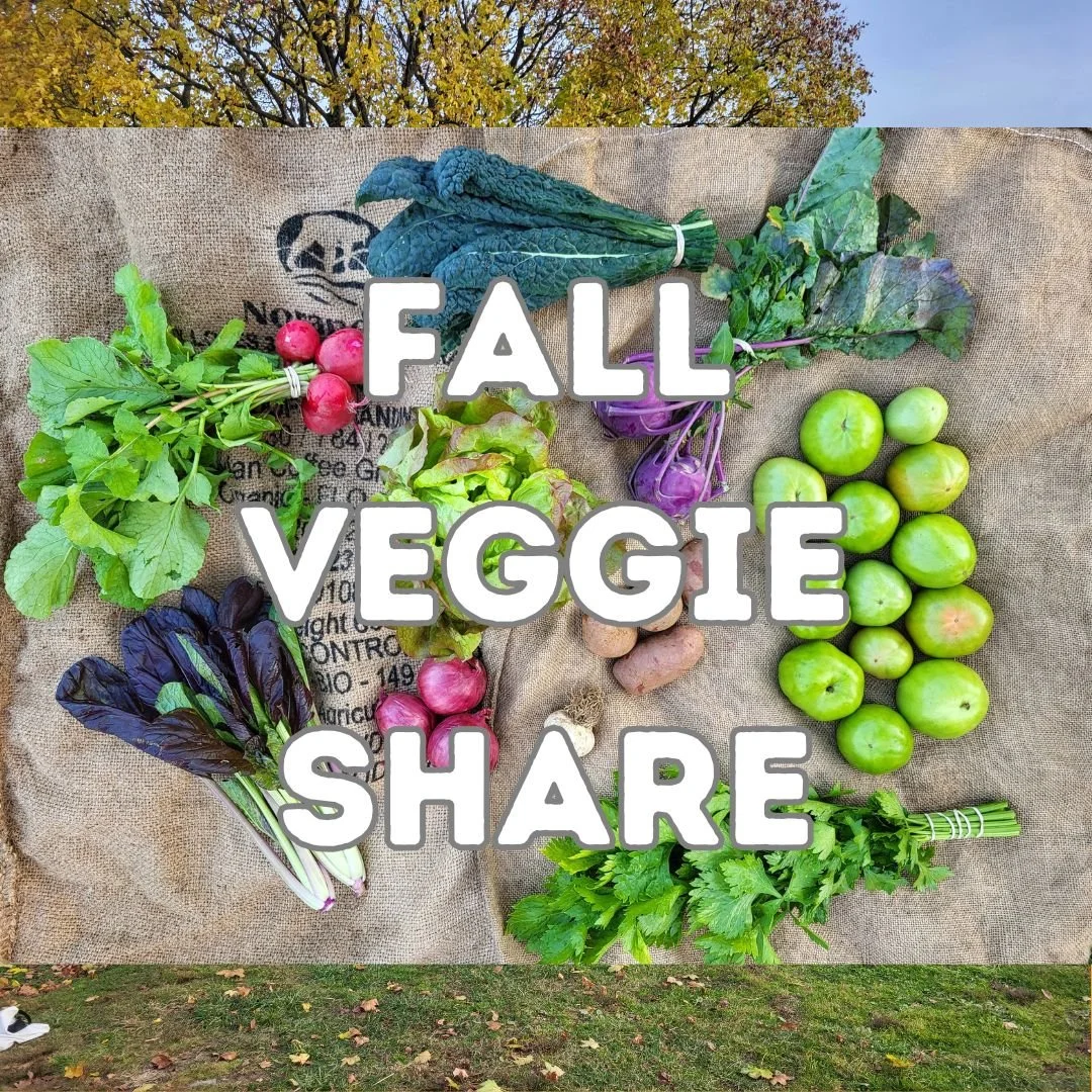 CSA Inventory Fall Veg 25' 1.jpg