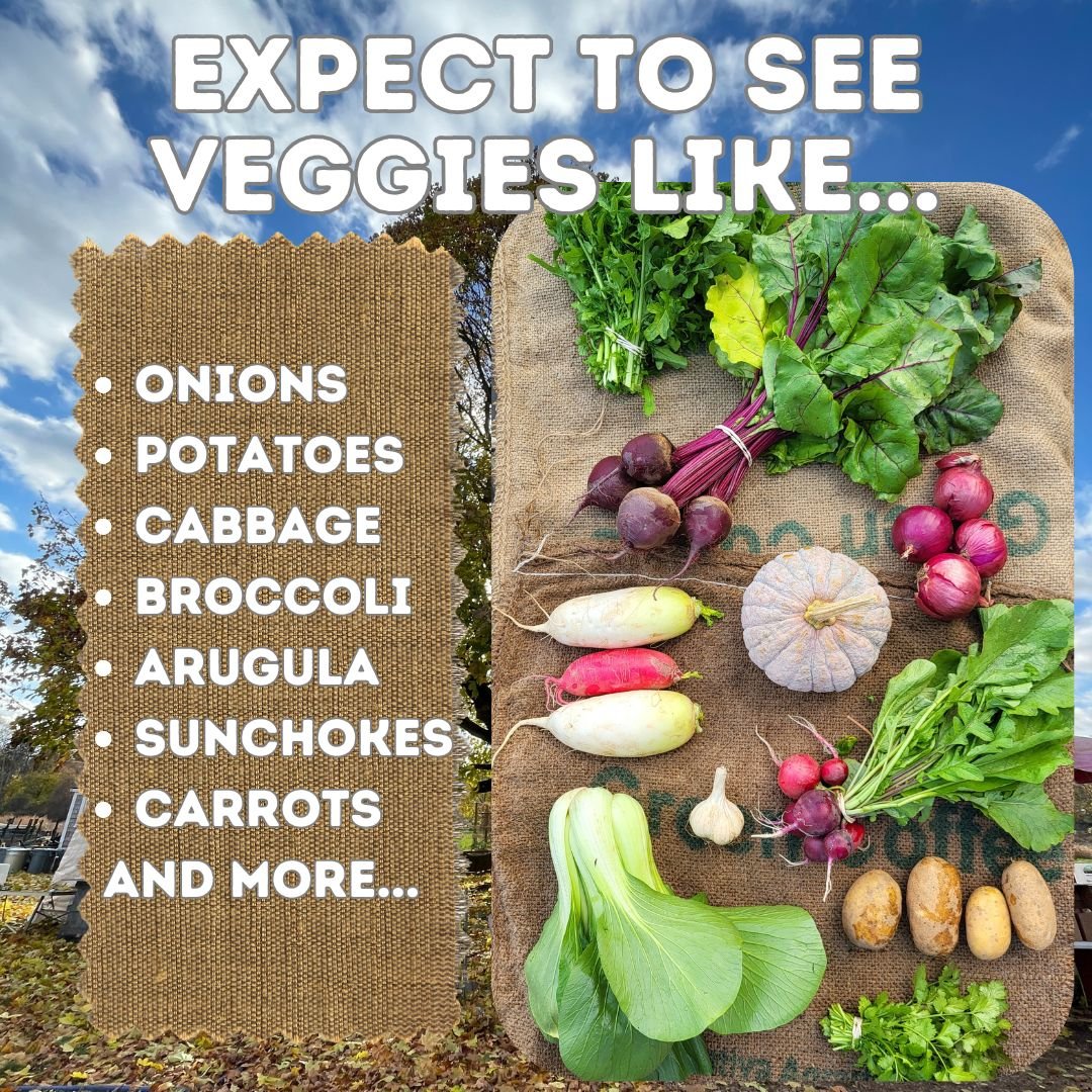 CSA Inventory Fall Veg 25' 2.jpg