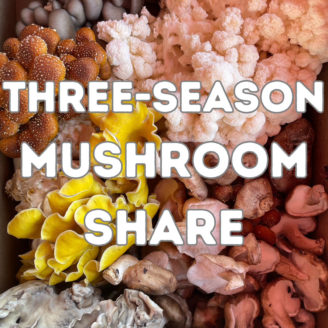 Mushroom Inventory 25' 2 (1).png