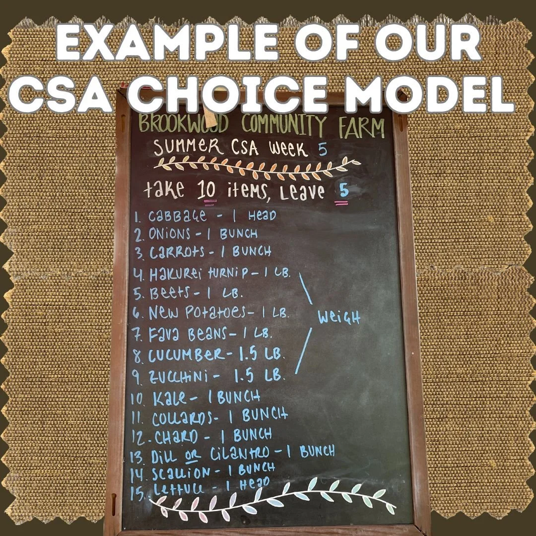 CSA Inventory Summer Veg 25' 3.jpg