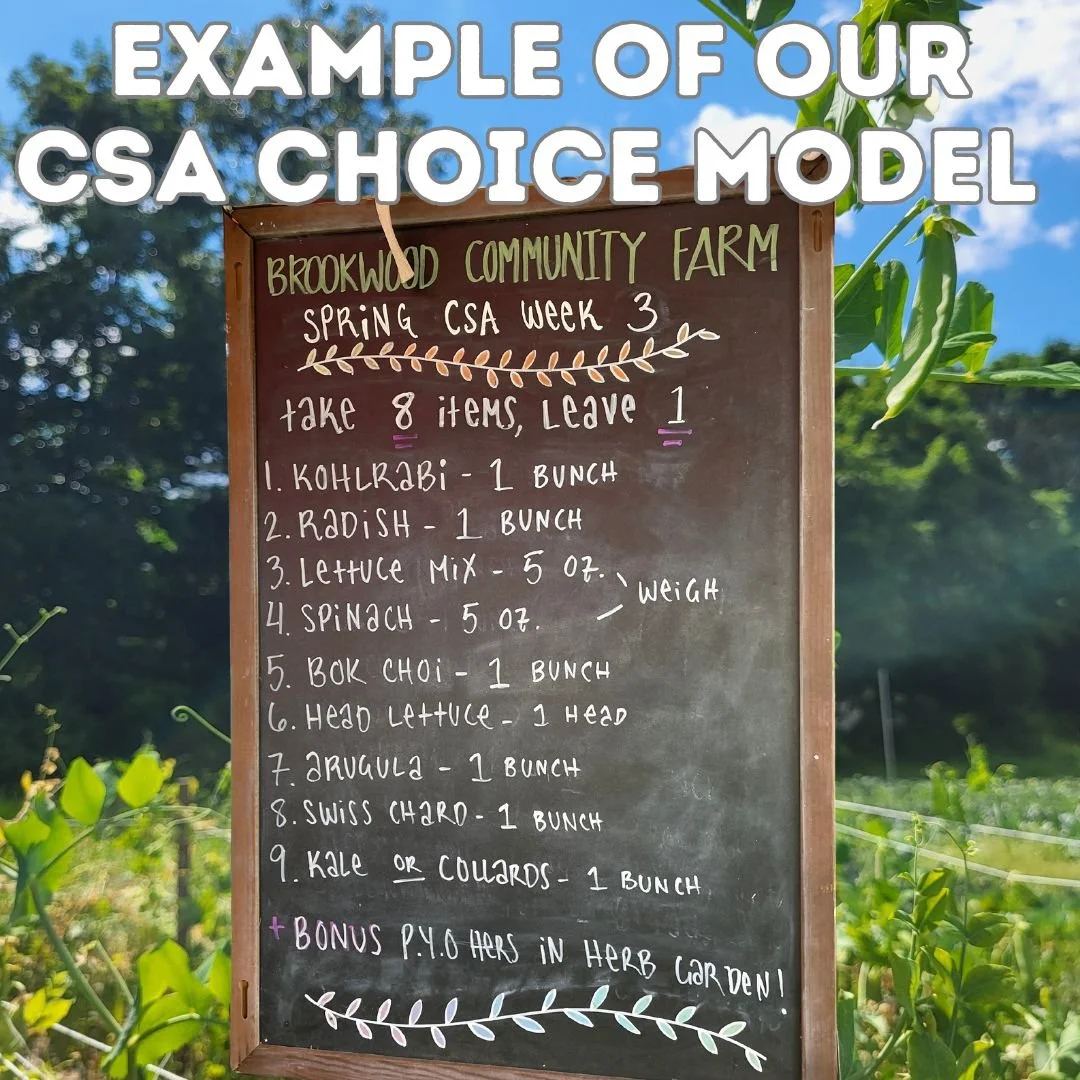 CSA Inventory Spring Veg 25' 3.jpg