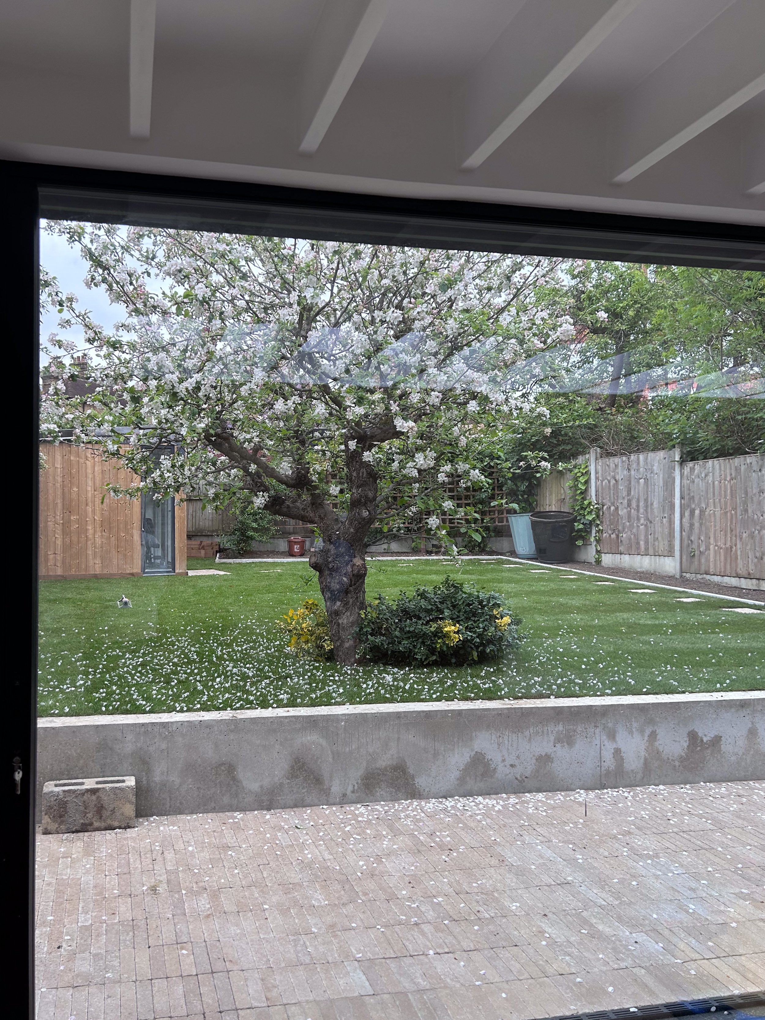 View through a window showing a garden with a flowering apple tree, a grassy lawn, a wooden fence, and garden tools.