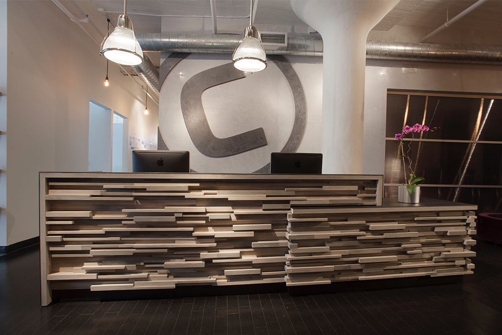 CONCENTRIC HEALTH EXPERIENCE
