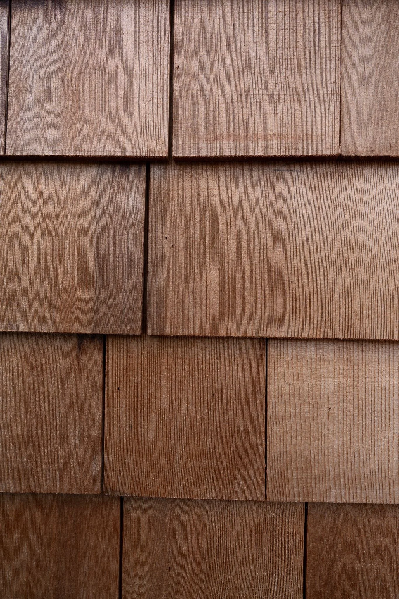 Close up of western red cedar siding on side of home