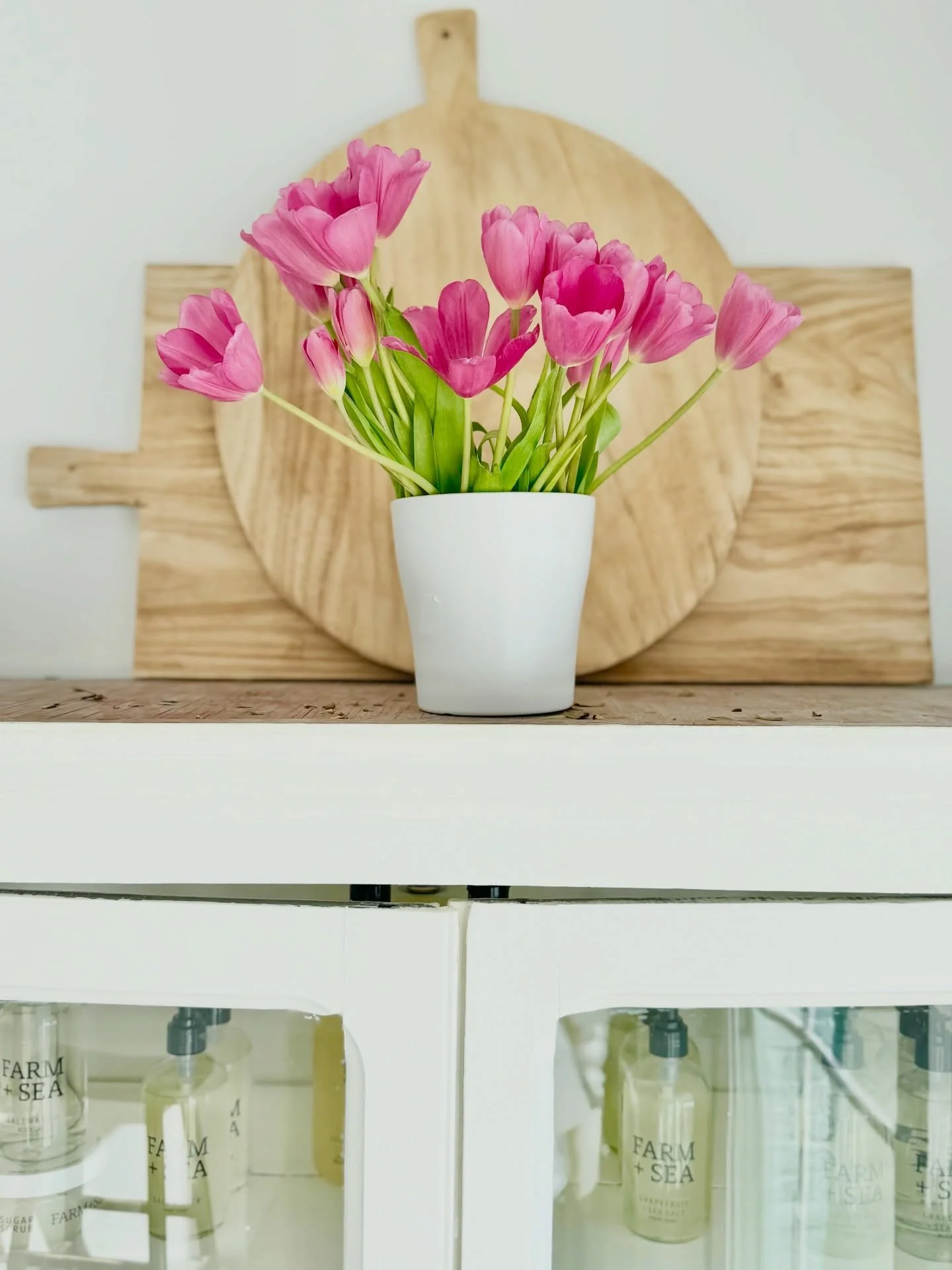 Today it finally feels like it might be Spring .. eventually. Thanks for the cheery 🌷 tulips @mkpap3 🤍#sunnyday #waitingforspring