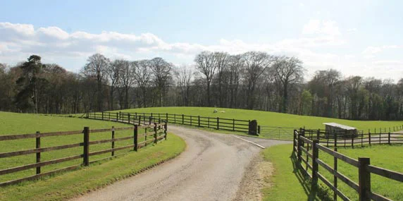 DRIVEWAY AT ROOKERY FARM