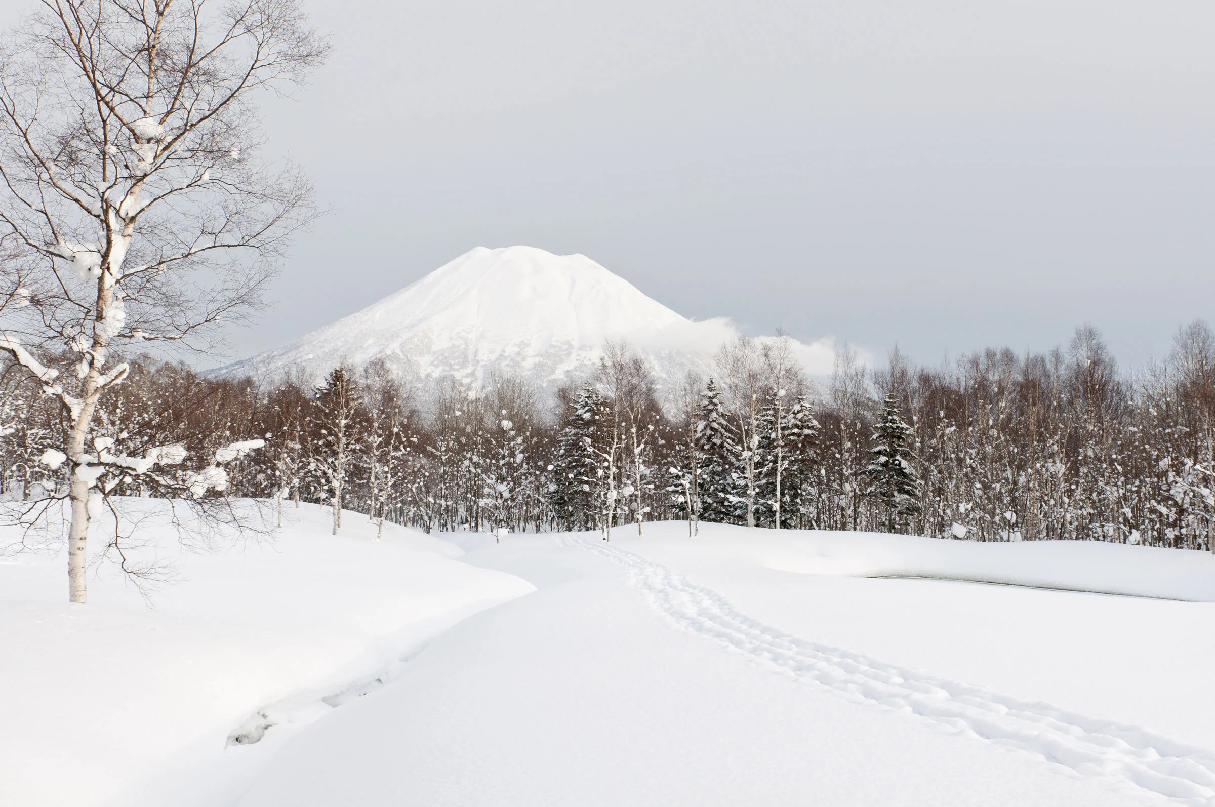 snow-mt-yotei-op.jpg
