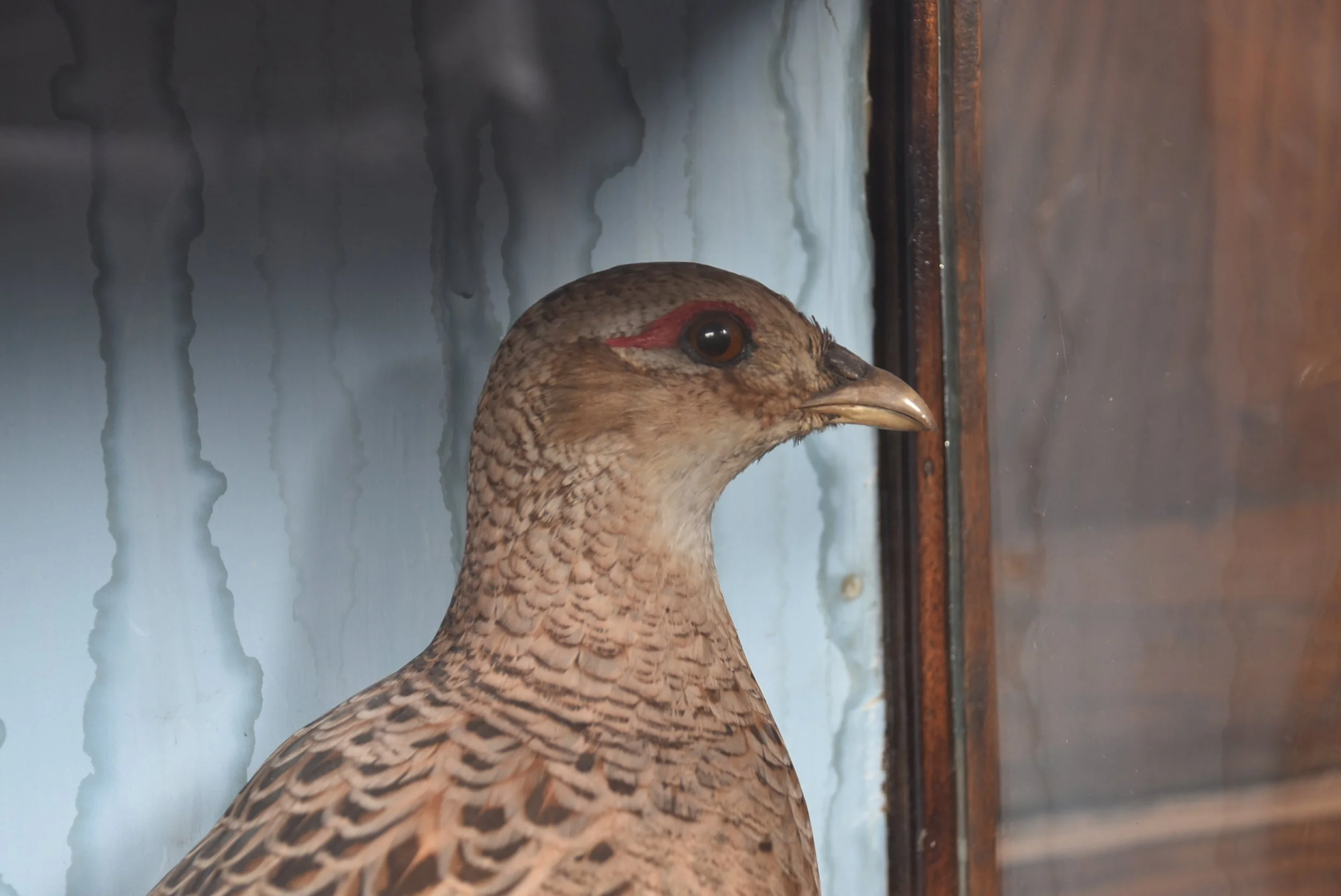 DSC_0434.JPG