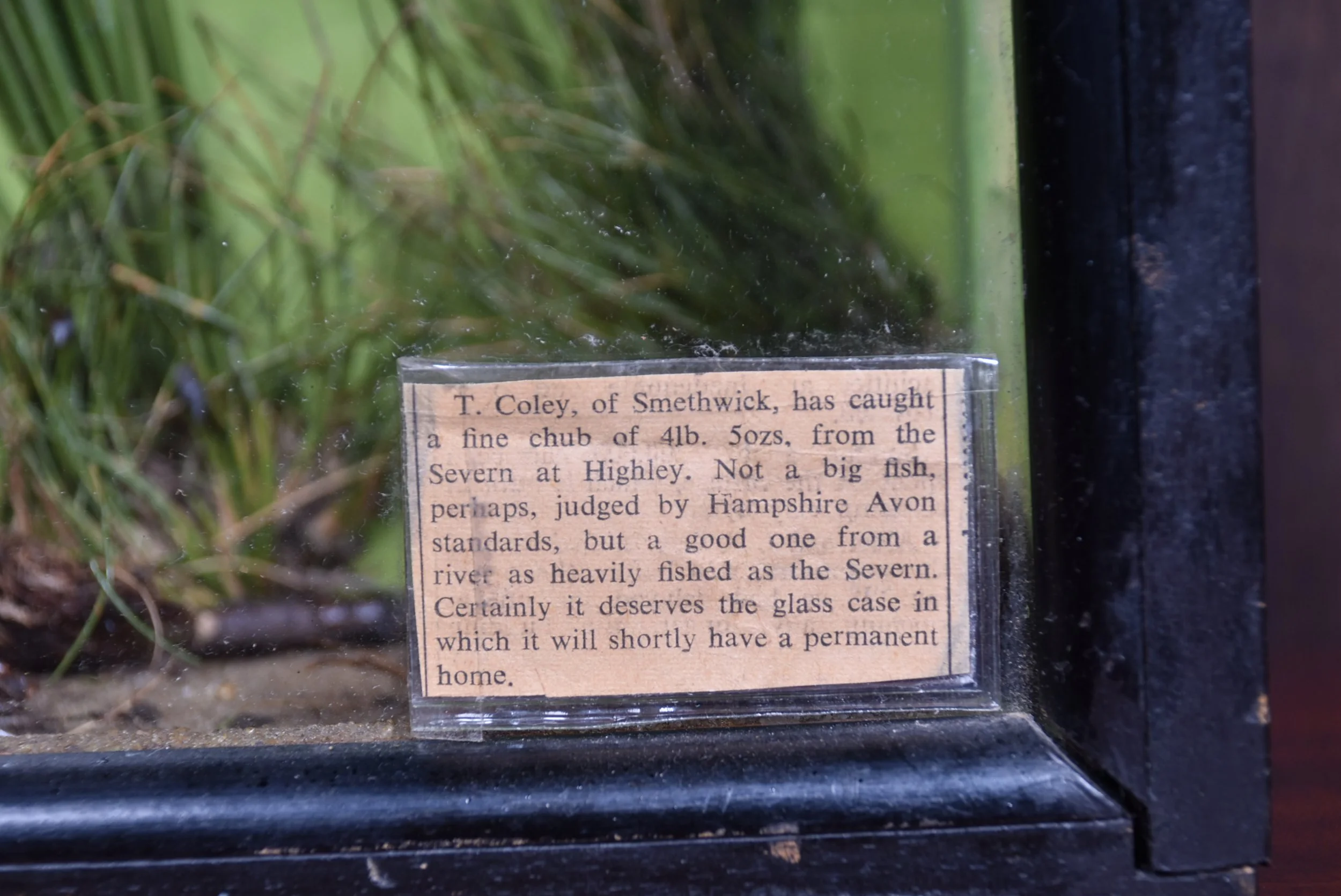 DSC_0207.JPG