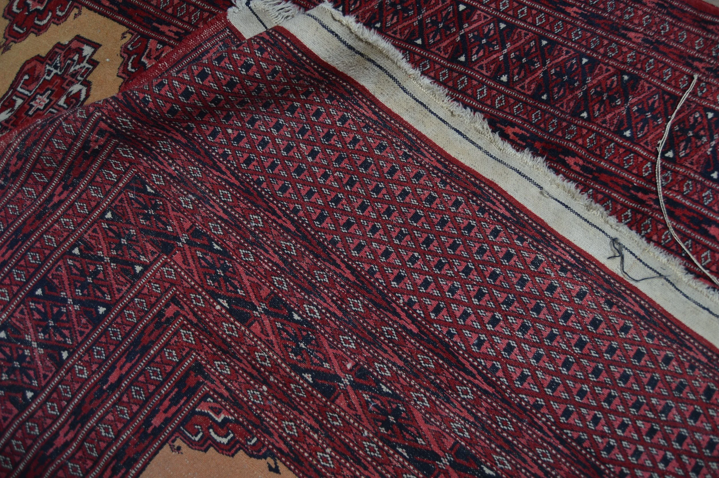 DSC_0046.JPG