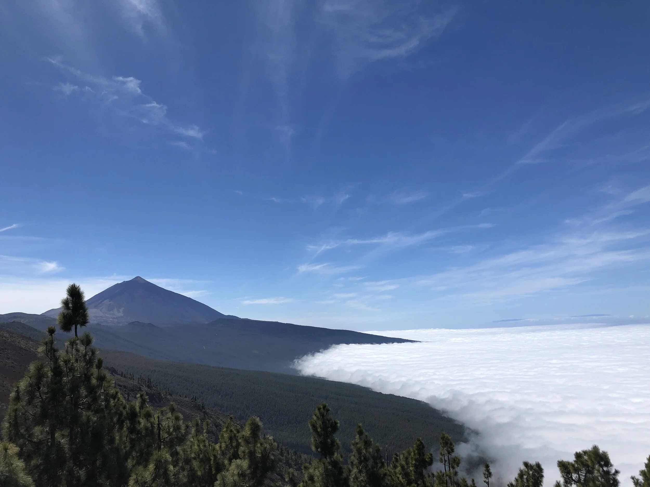 Tenerife: un tour en 7 días