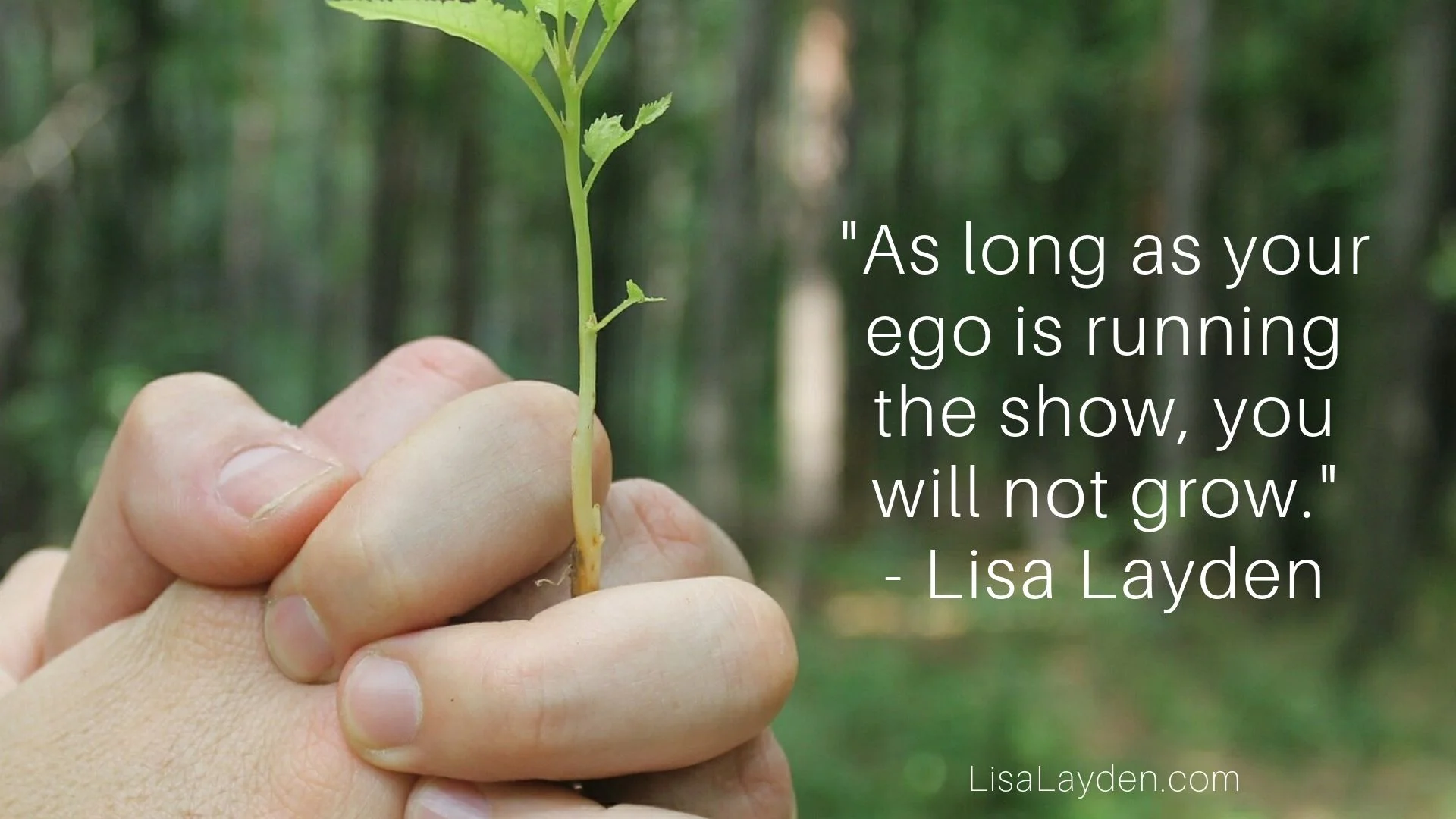 Quote - “As long as your ego is running the show, you will not grow.” – Lisa Layden