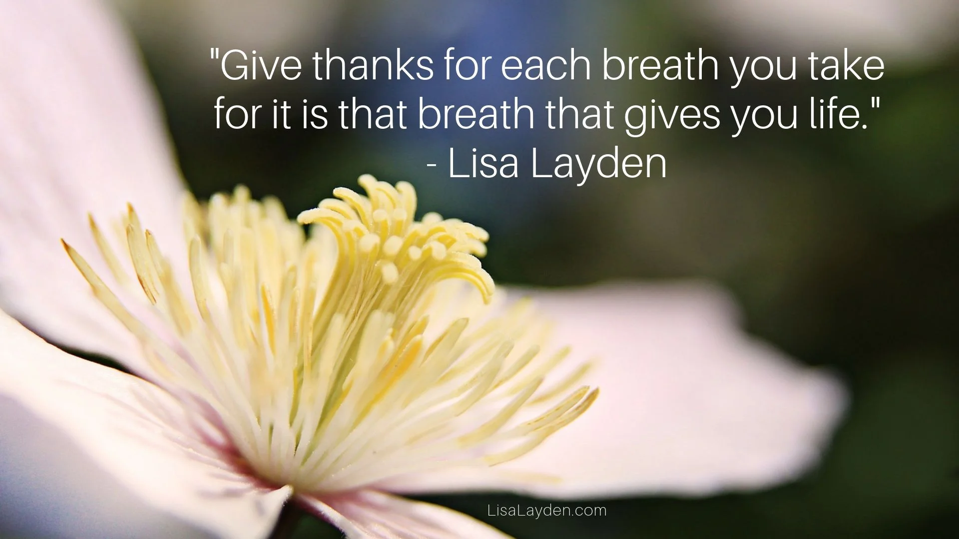 quote - “Give thanks for each breath you take for it is that breath that gives you life.” – Lisa Layden