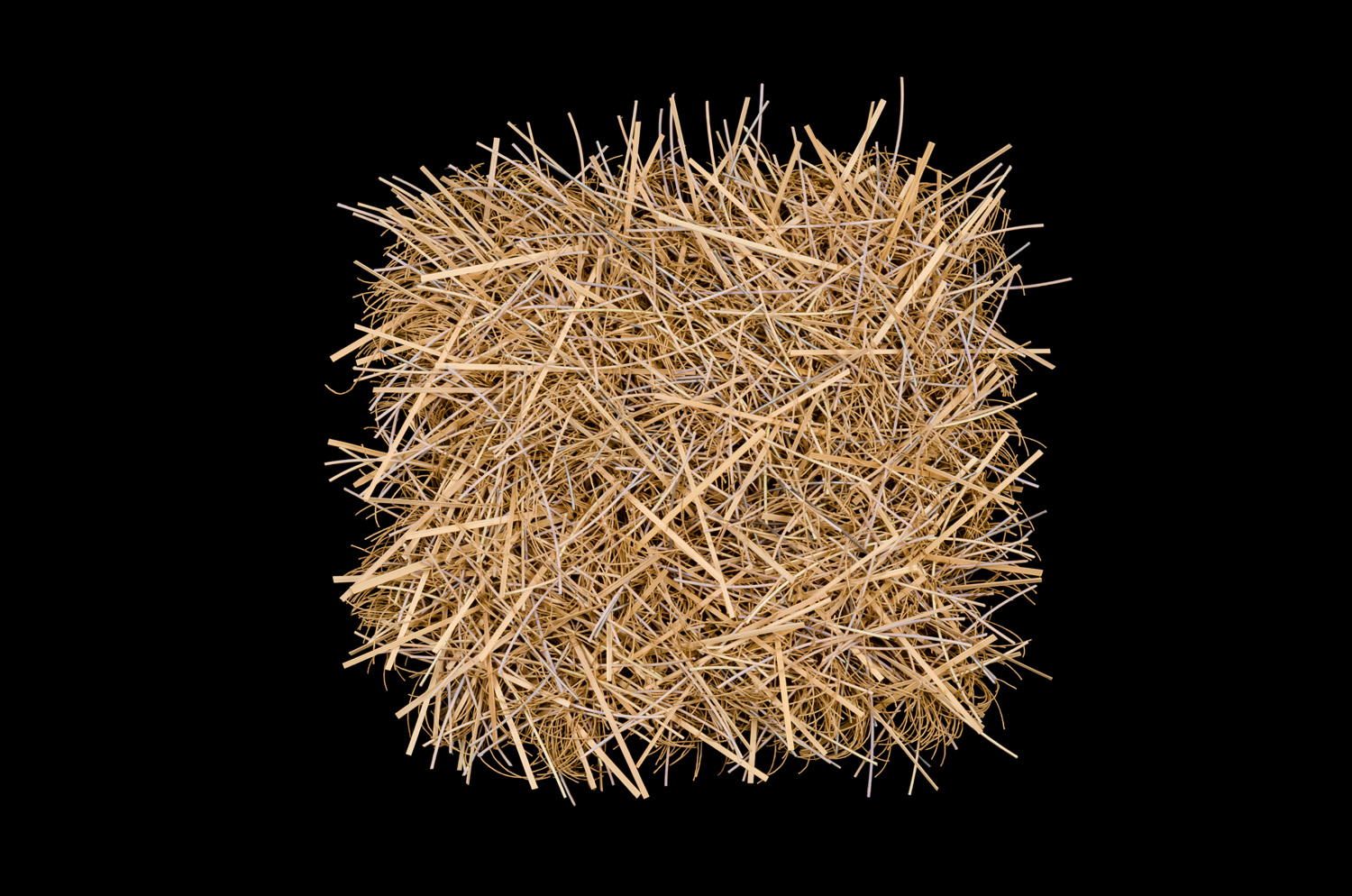Under Brush (Dry) / 17"x17"x4.5" / woven, knotted / bamboo, paint, reed, paper twine, linen / 2018