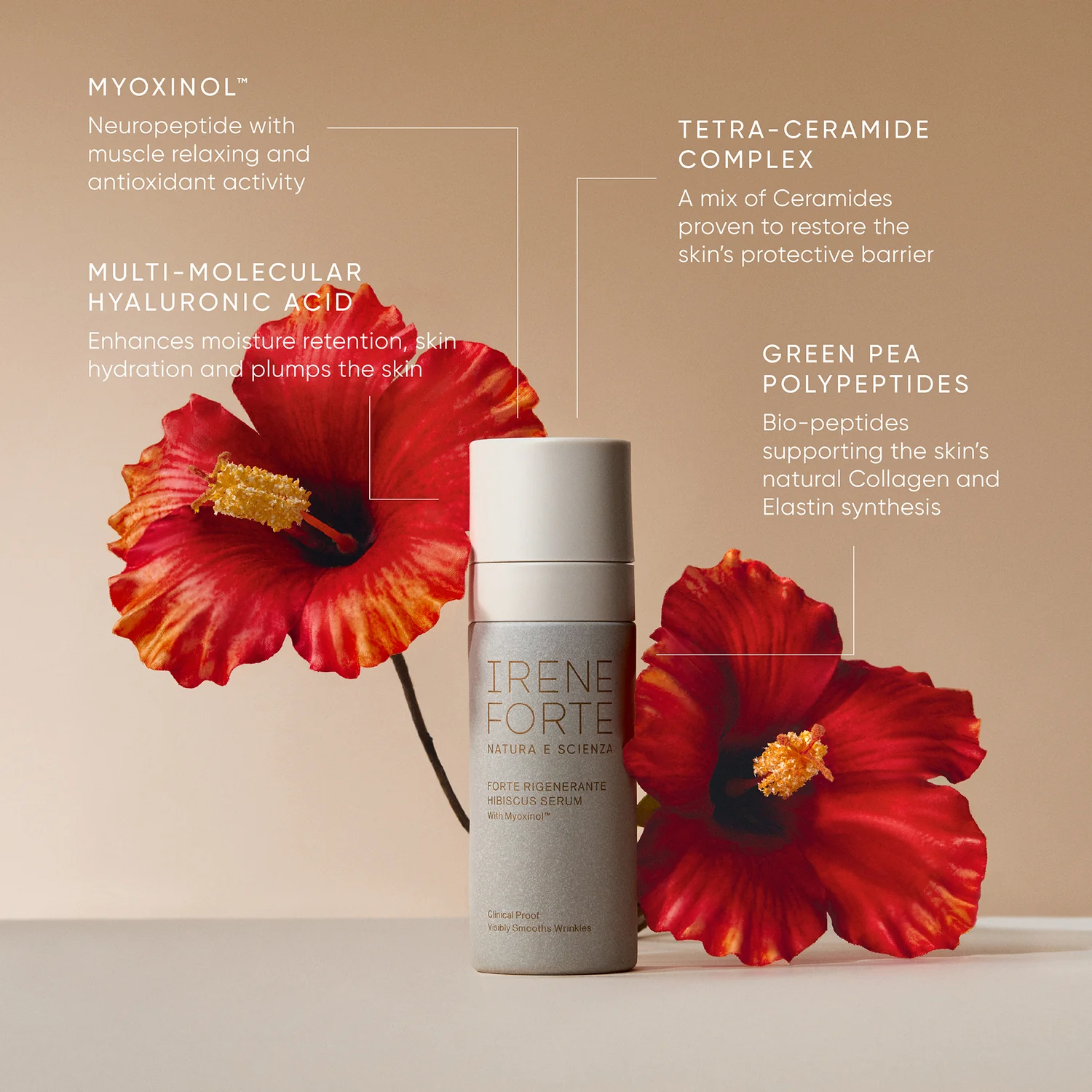 hibiscus2.png