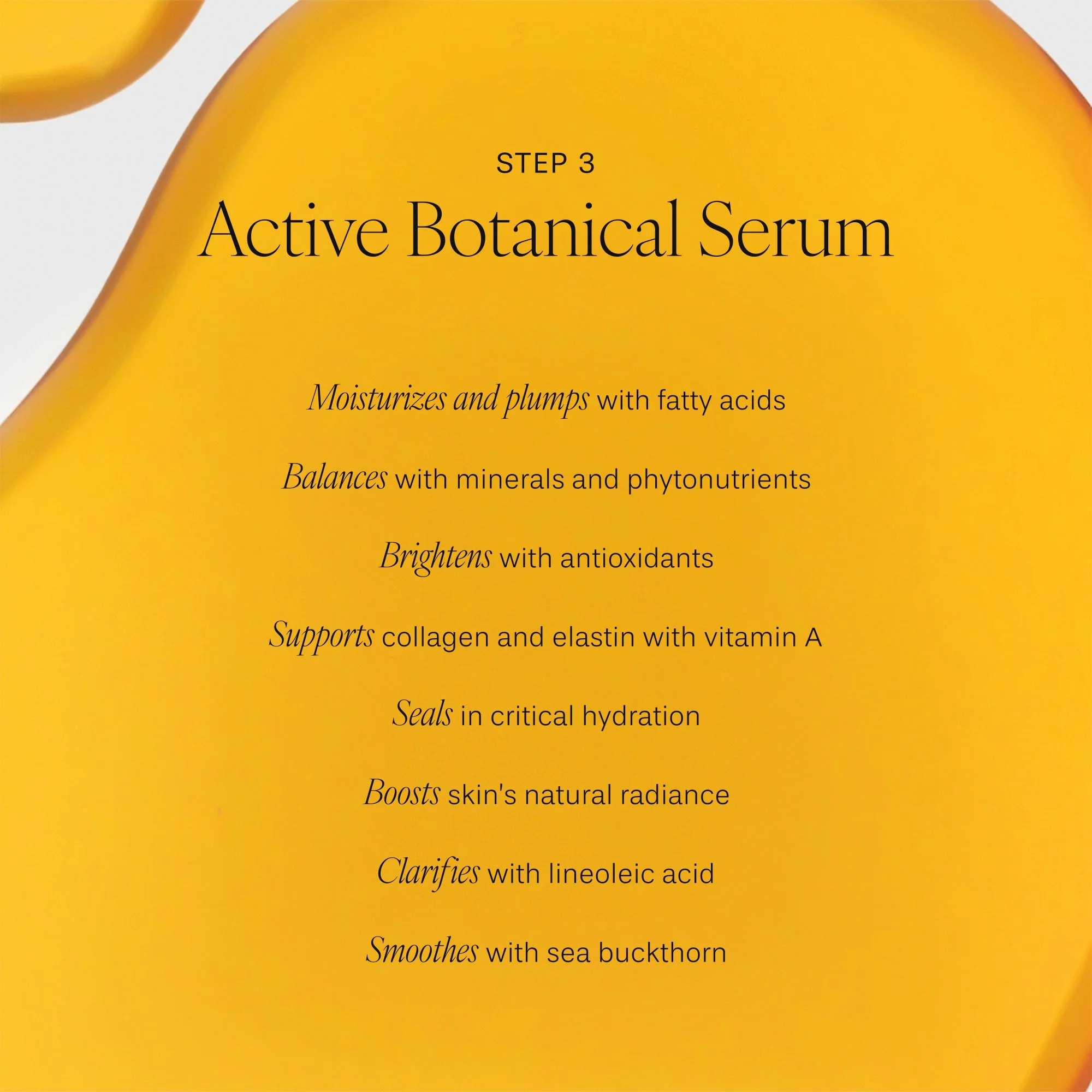 6_VD_The Discovery Set_Texture Shot Active Botanical Serum.jpg