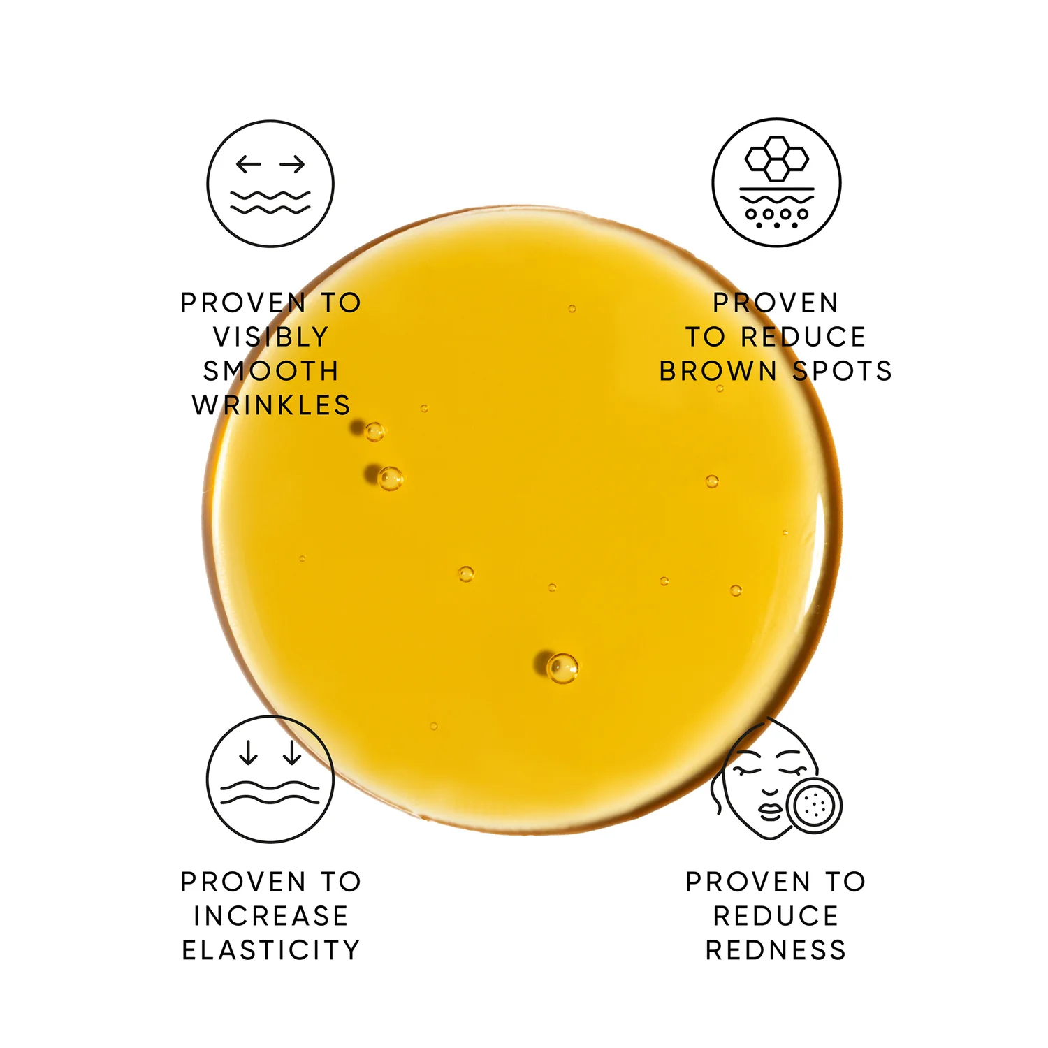 phyto3.png