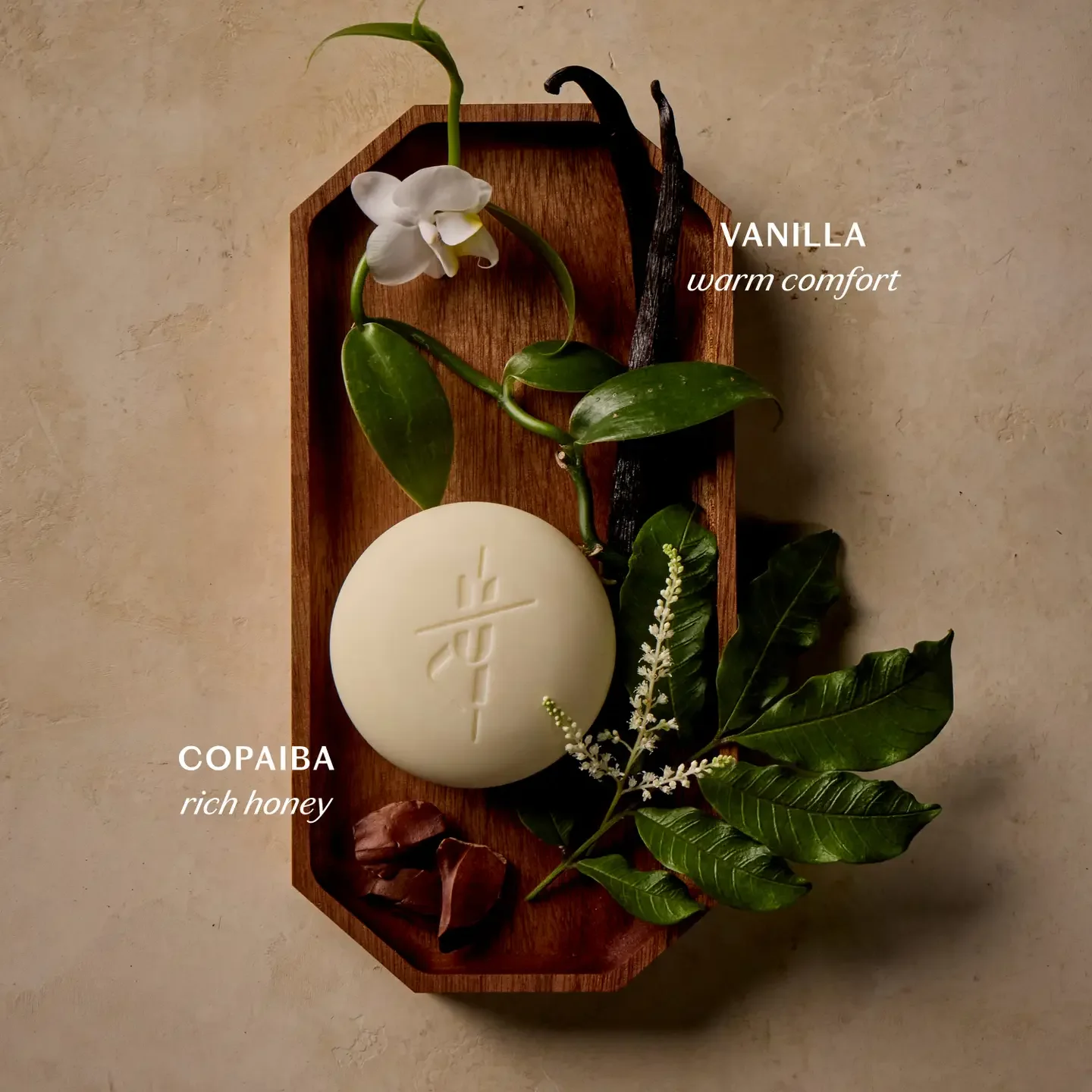 copaiba2.webp