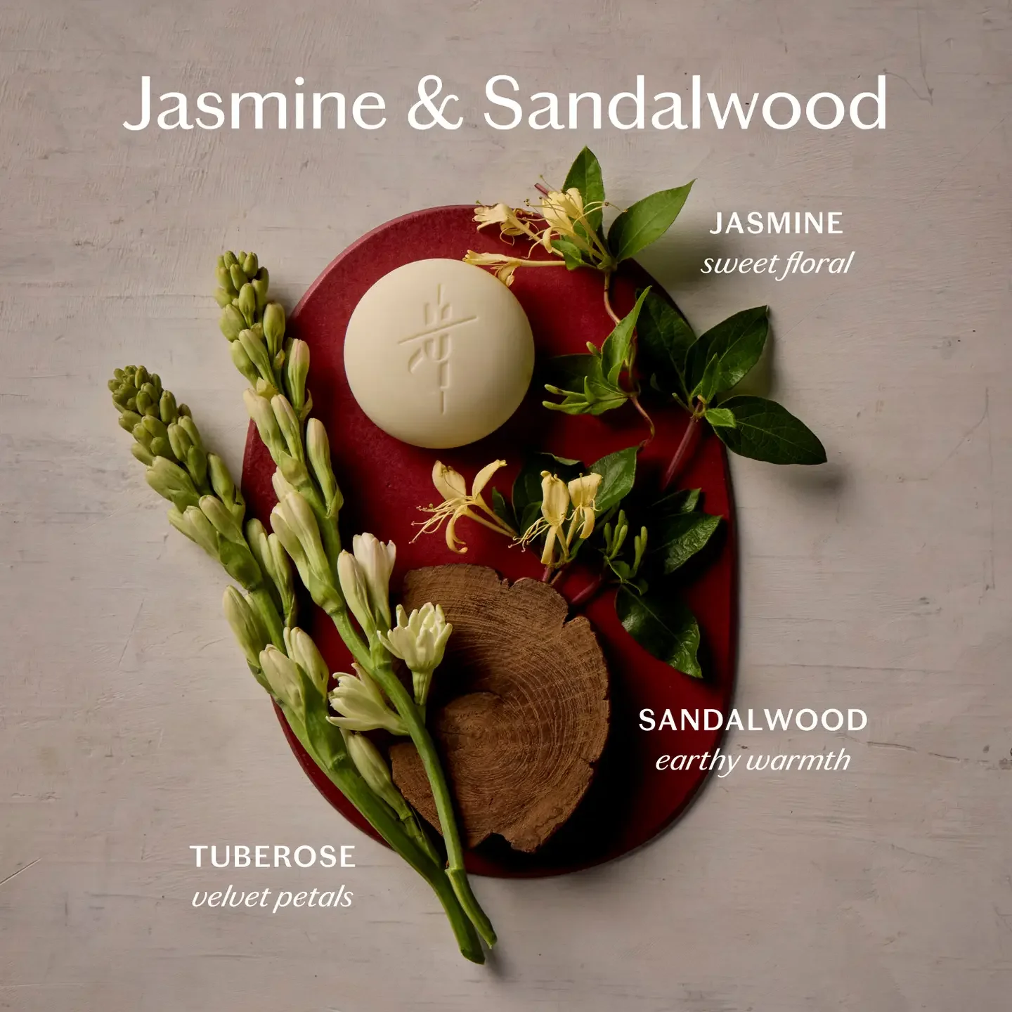 jasmine2.webp