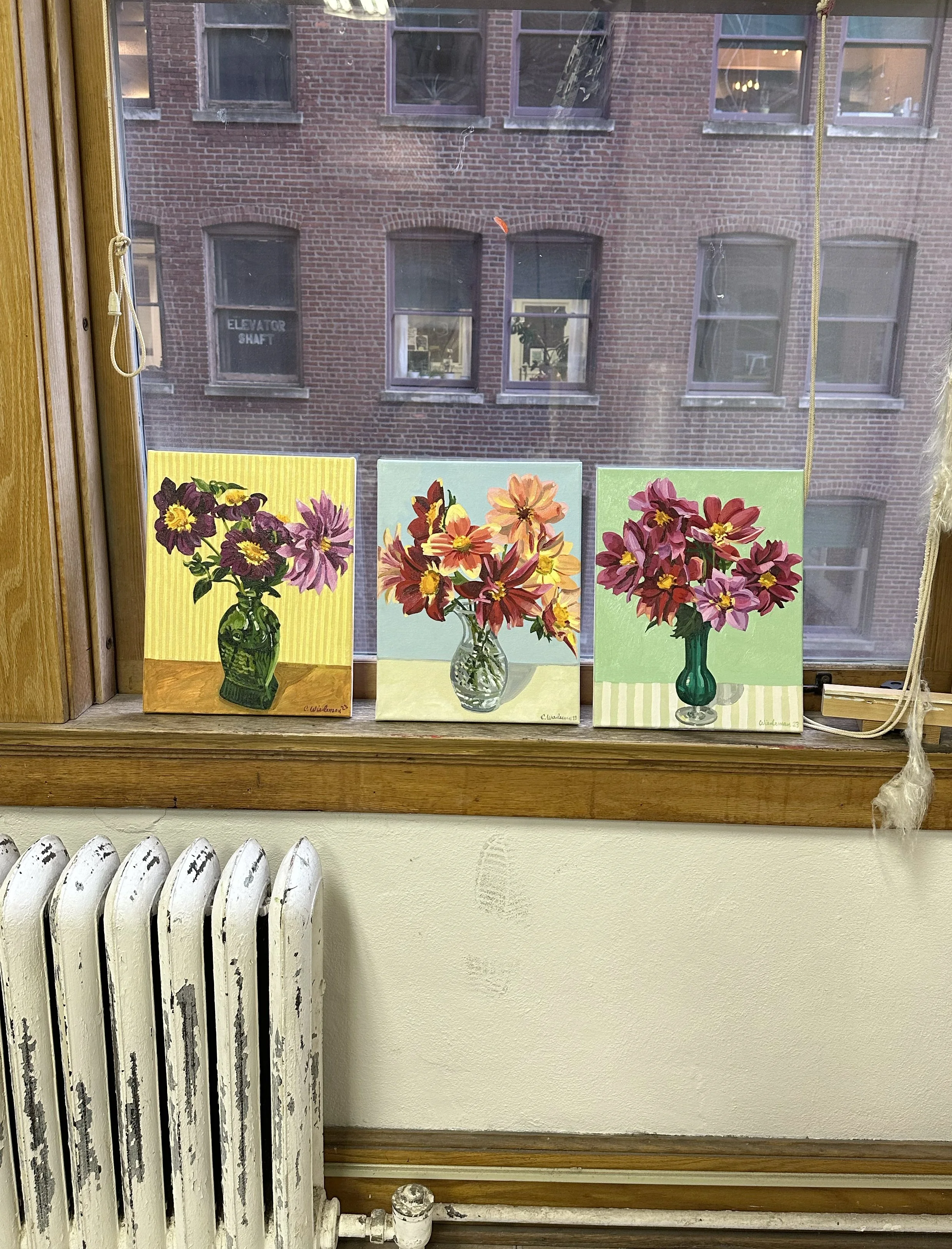 Dahlias_all.jpg