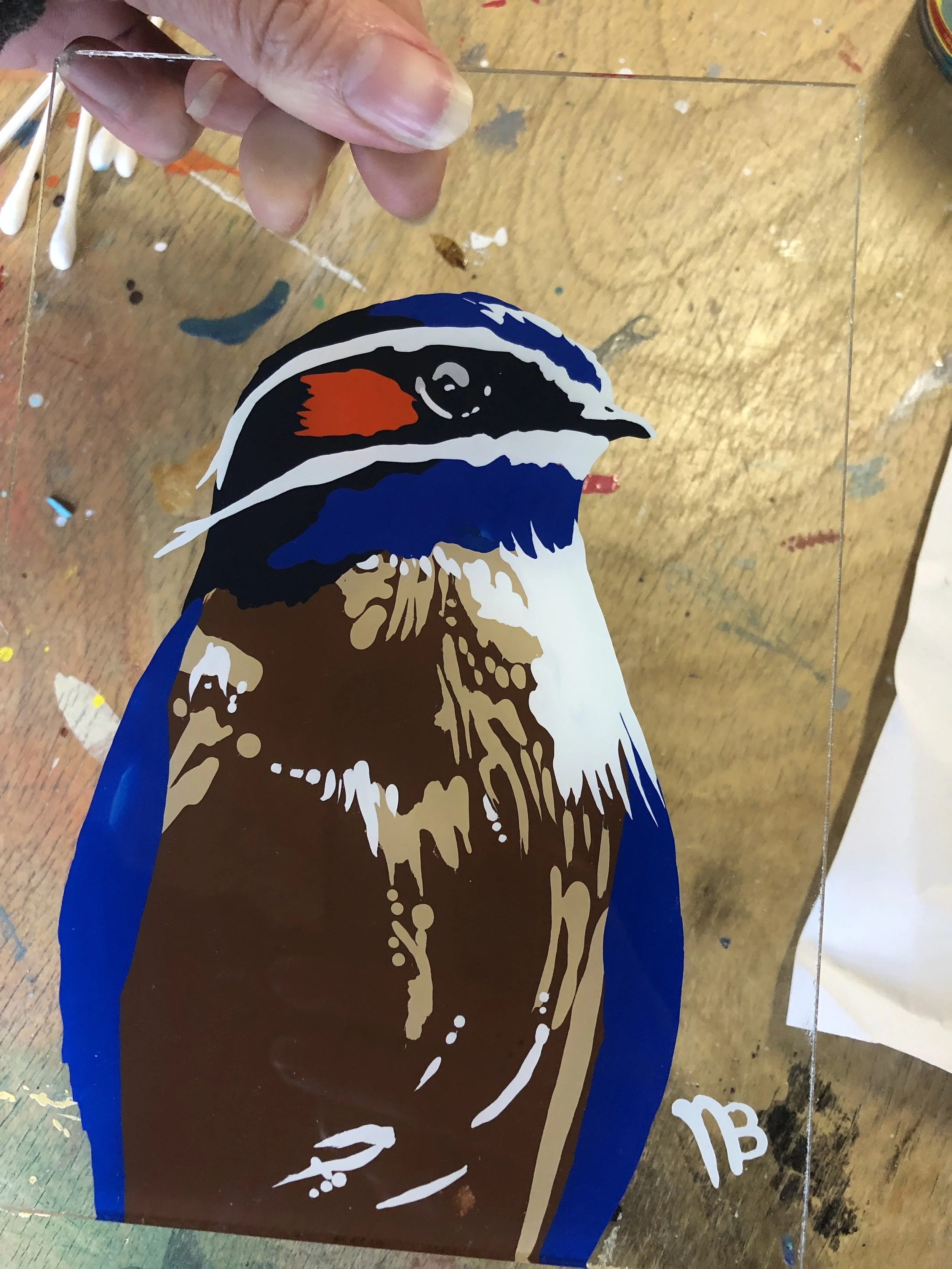 bird hero series 7 underway 2019-20