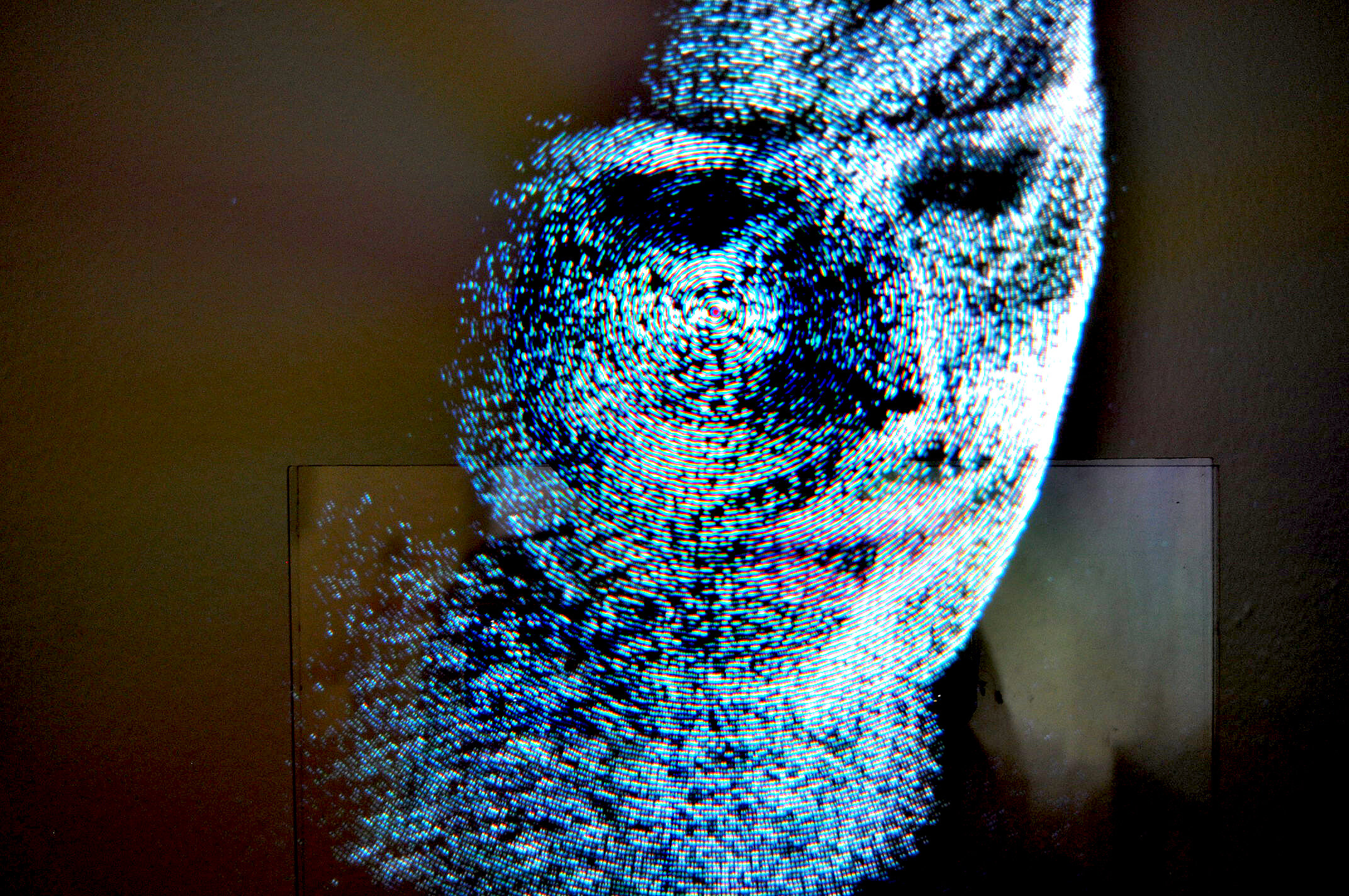 (10) Pearly Pearl %22Self Portrait%22 (3D point cloud on persistence of vision fan) 2.JPG