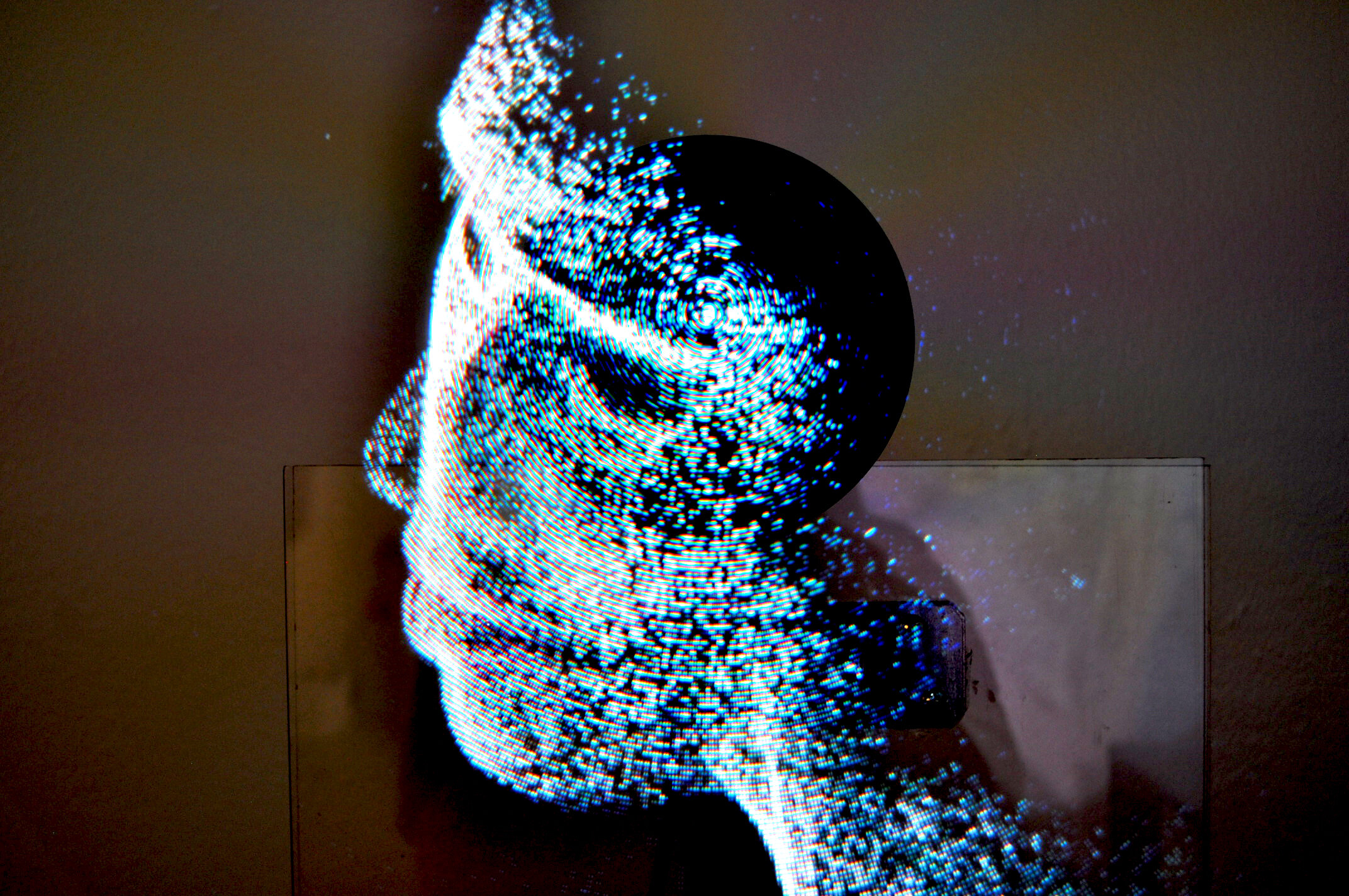 (11) Pearly Pearl %22Self Portrait%22 (3D point-cloud on persistence of vision fan) 1.JPG