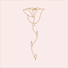 favicon.ico?format=100w