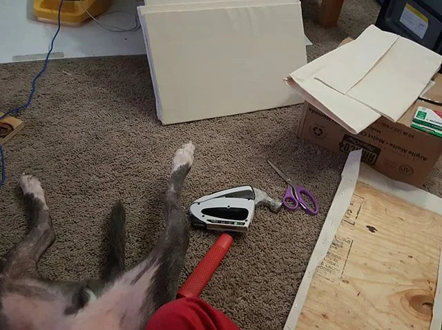 How can I recover my wedging boards without this big lug's assistance? He is the most &quot;helpful&quot; studio dog in the world.