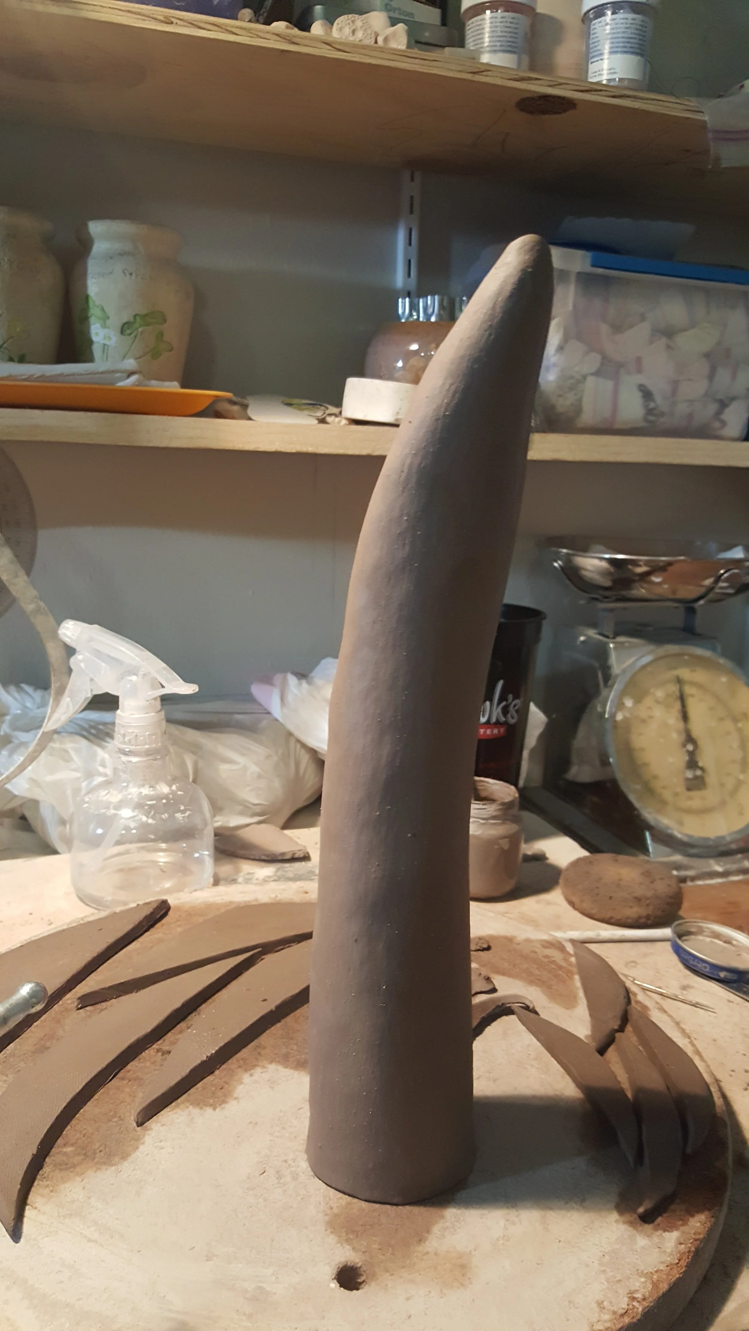 20190210_184817.jpg