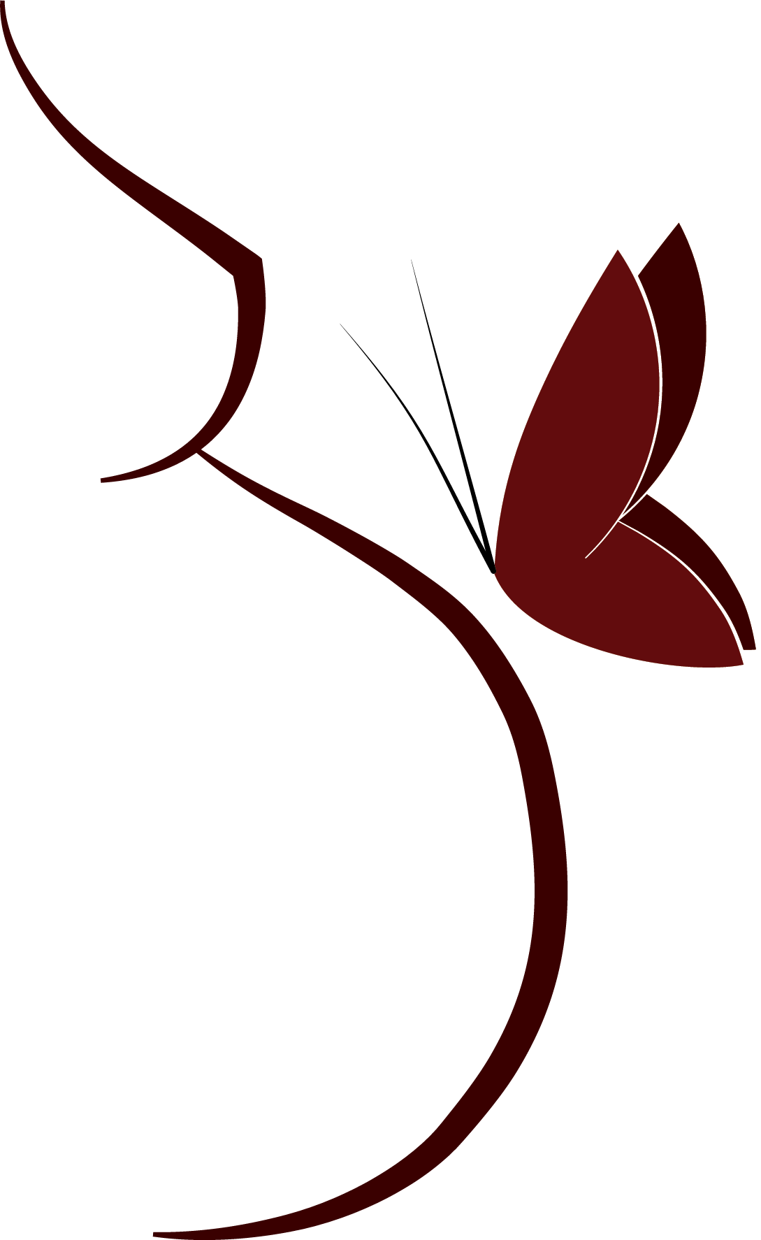 Butterfly Birth