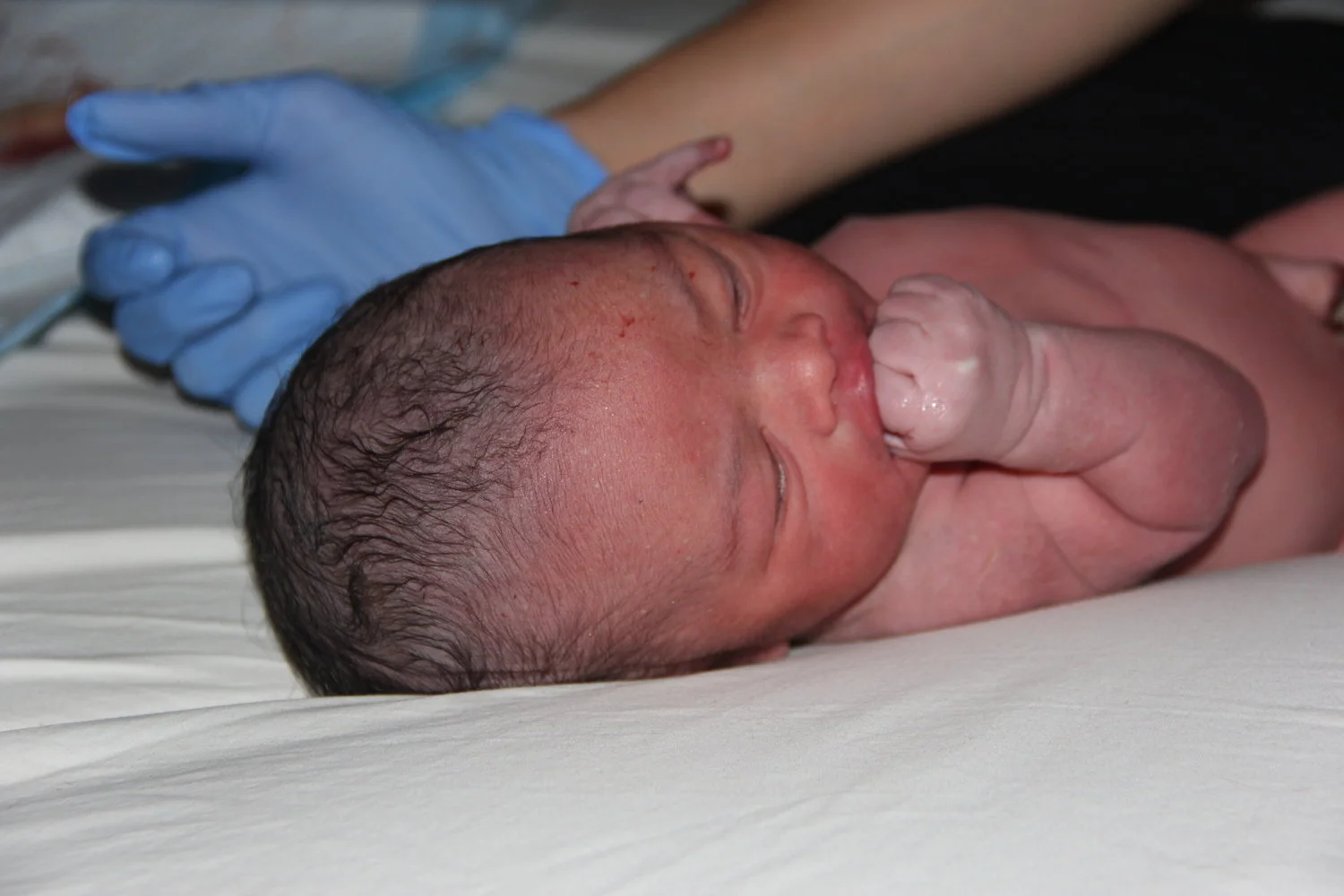 baby ermie.jpeg