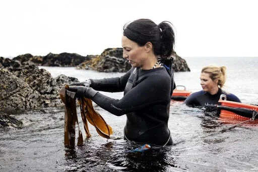 EATE Spotlight - Lofoten Seaweed Company