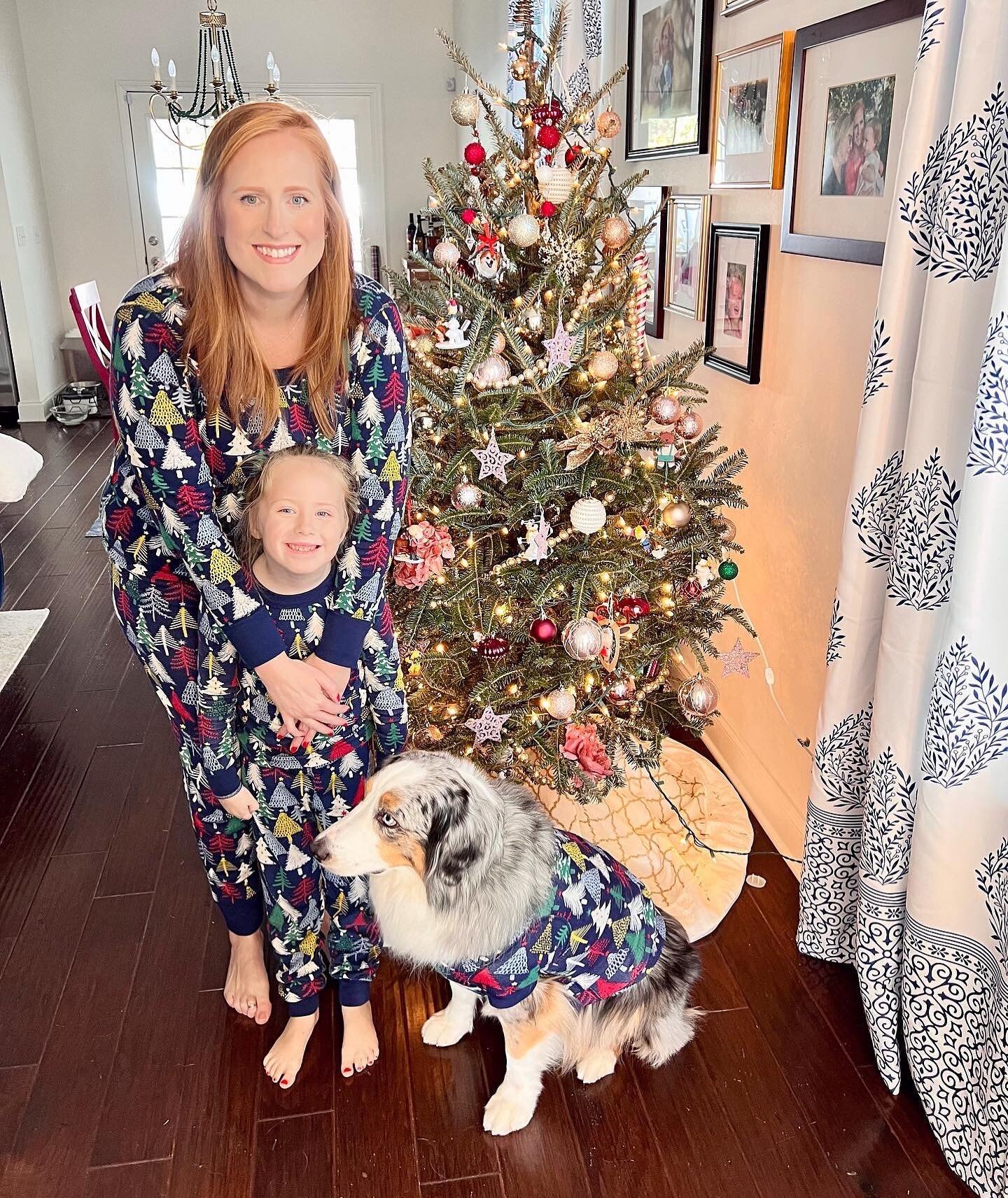 Merry Christmas from my lil family to yours! I don&rsquo;t take lightly that my job is to help you find and/or move on from the place you will make memories, like on Christmas Day! 🥰

#larasellscharleston #realtorlife #merrychristmas #charlestonsc