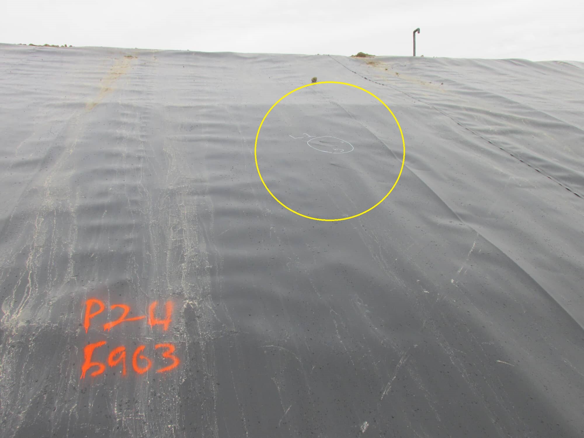 bare-liner surveys - water puddle slope pic 3.jpg