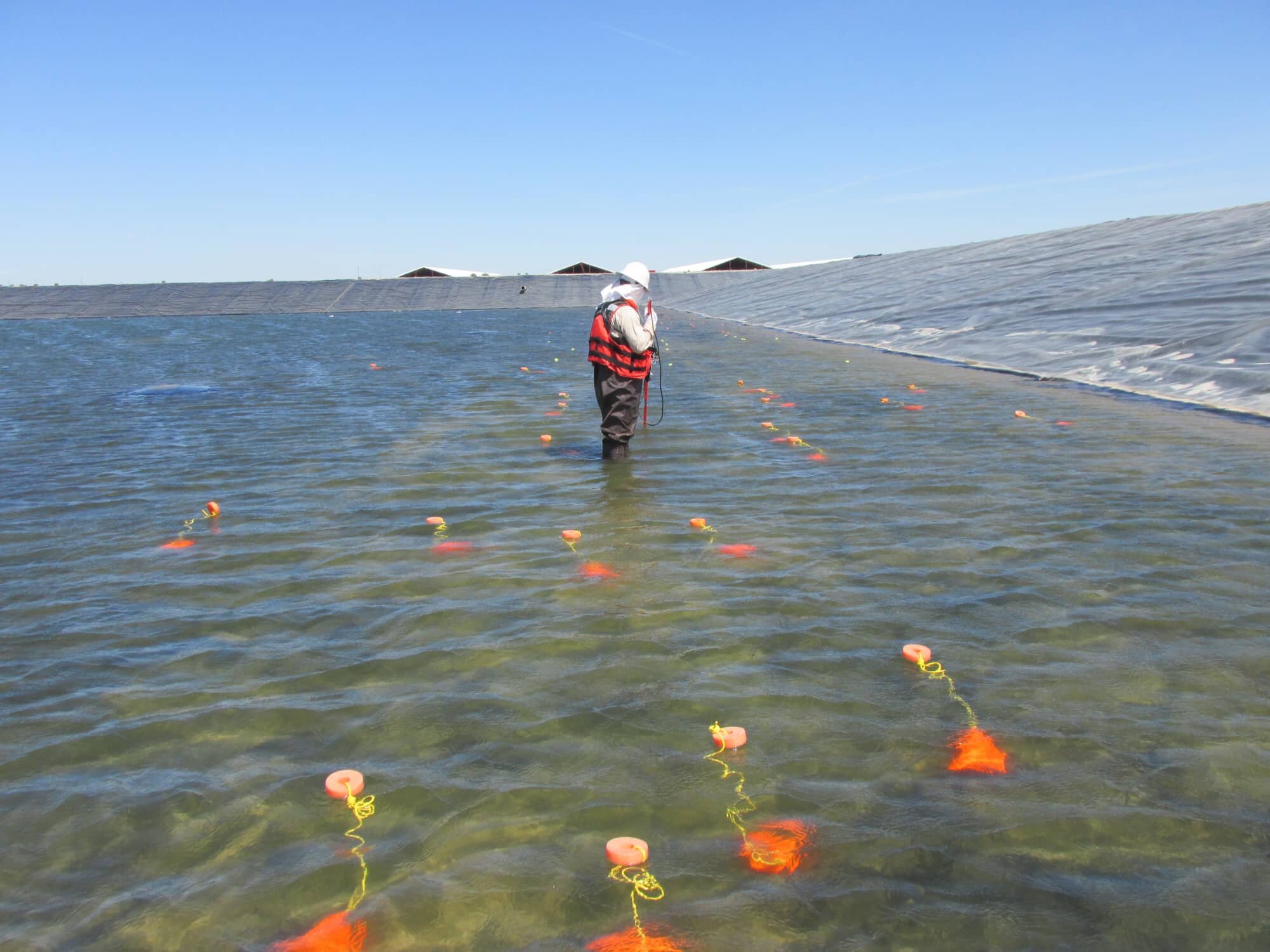 water surveys - wading pic 2.jpg