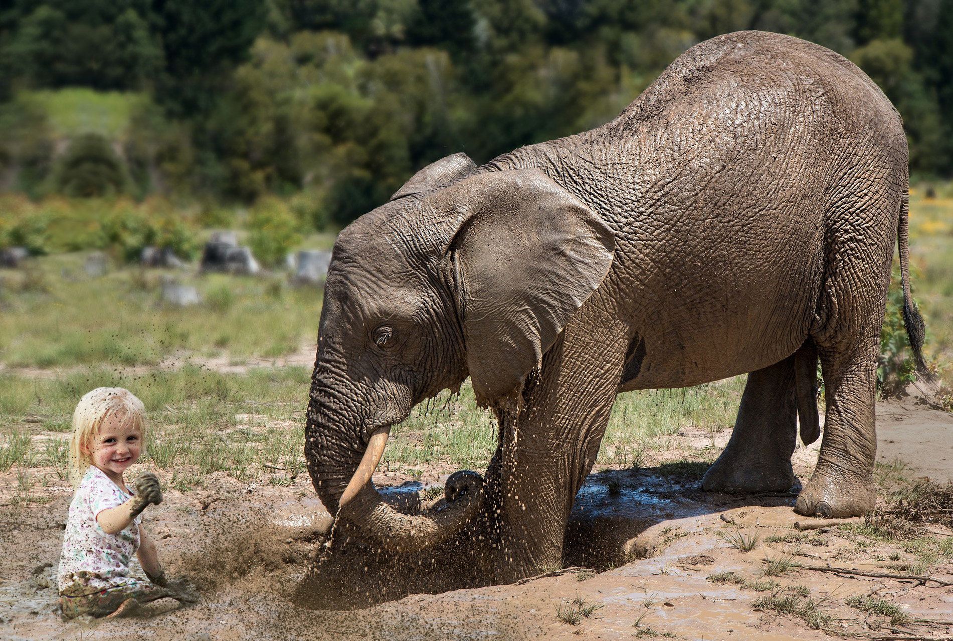 playing in the dirt with Elephant