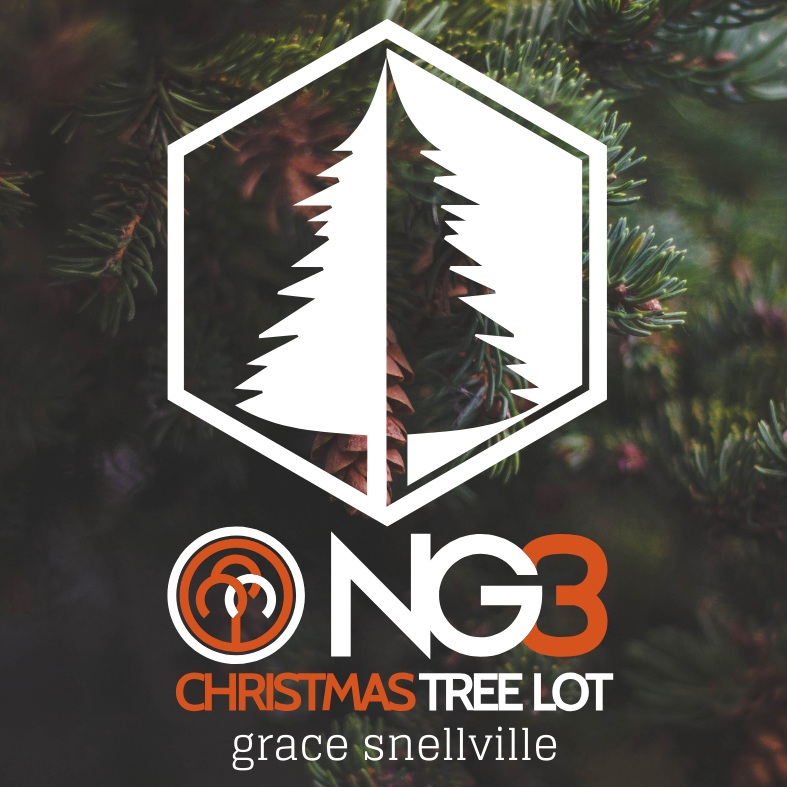 NG3 Tree Lot at Grace Snellville