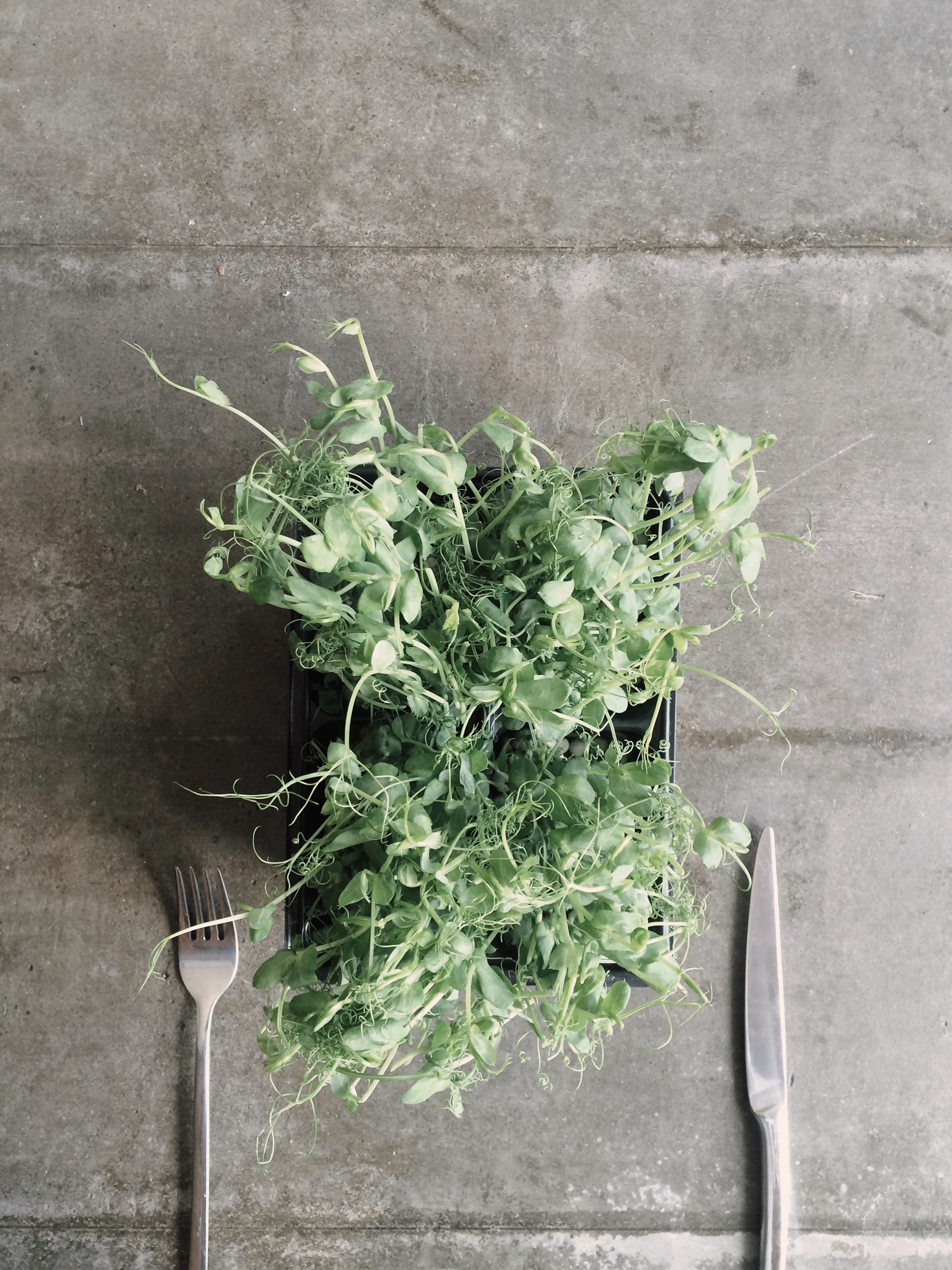 concrete-dirty-flatlay-1030876.jpg