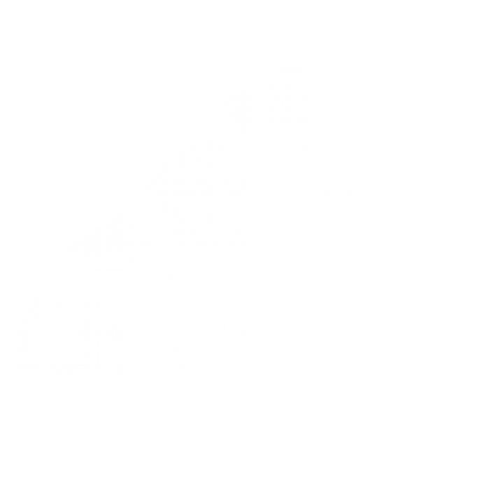 Adidas-Logo-White-PNG-715x715.png