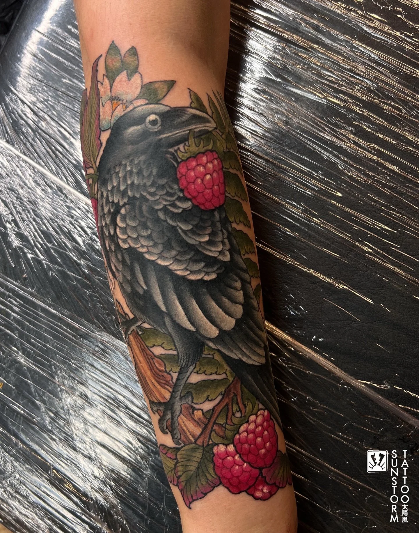 Thanks to Melissa for getting this Neo Traditional raven and raspberries today. Thank you 🙏🏽 
@seventhswordtattoo 
#tattoos #tattooer #neotraditional #neotrad #raven #raspberry #carlisle #carlisletattoo #cumbria #cumbriatattoo #sunstormtattoo