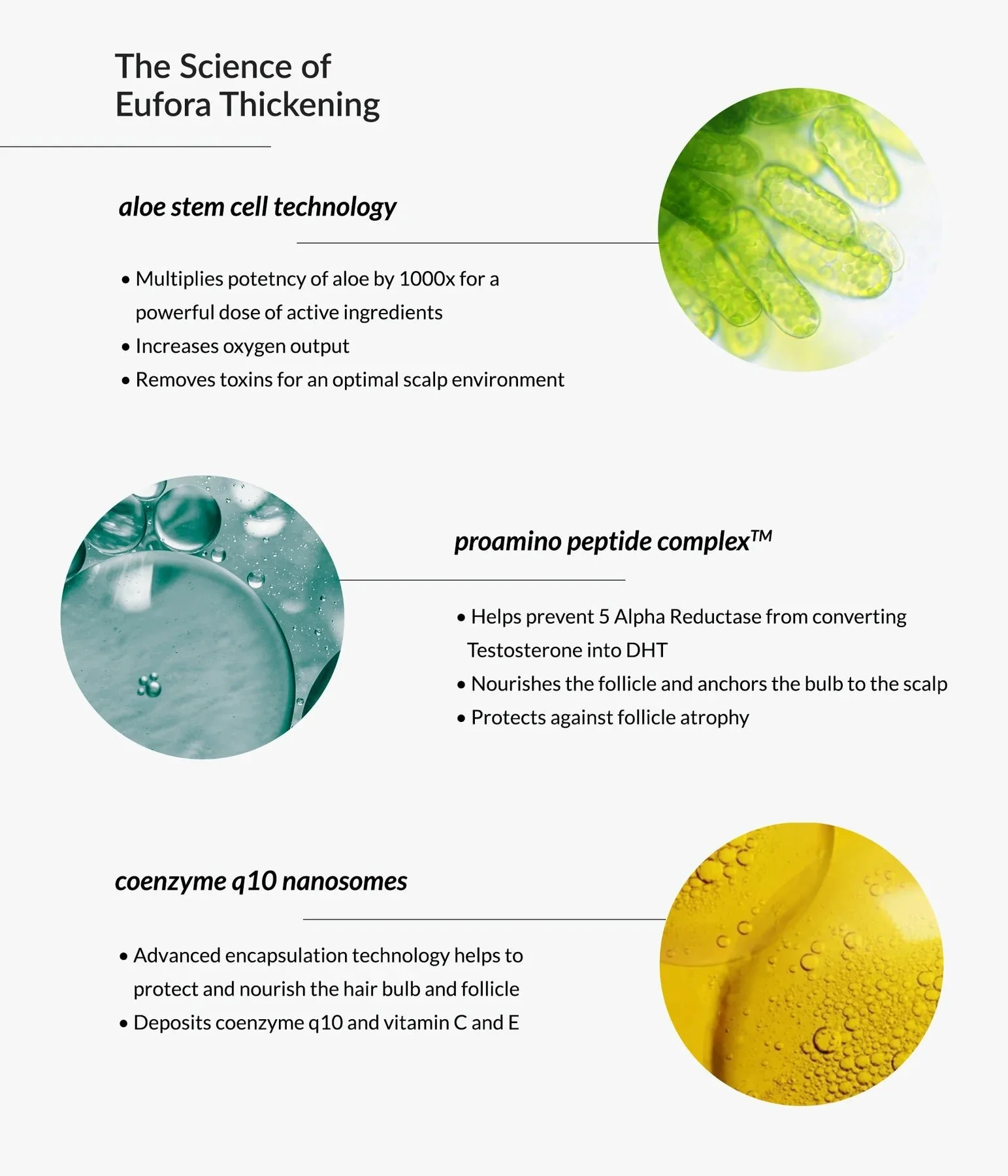 ThickeningSciencePDPGraphic_1800x1800_9fb311aa-455e-4b81-aca5-5db21bbd422b.webp