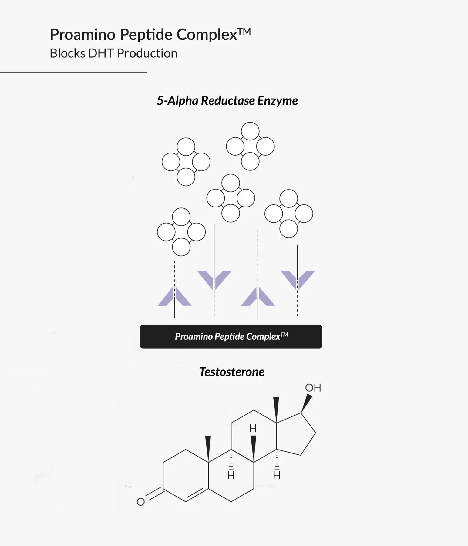 ProaminoPeptideScienceThickening_1800x1800_01520b8a-4f57-415d-939a-937edccf80b9.webp