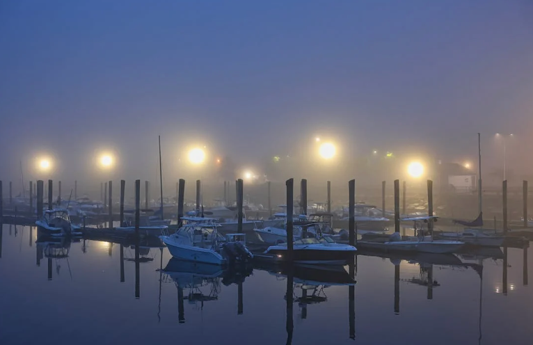 Cove Island Park Marina in Stamford, CT