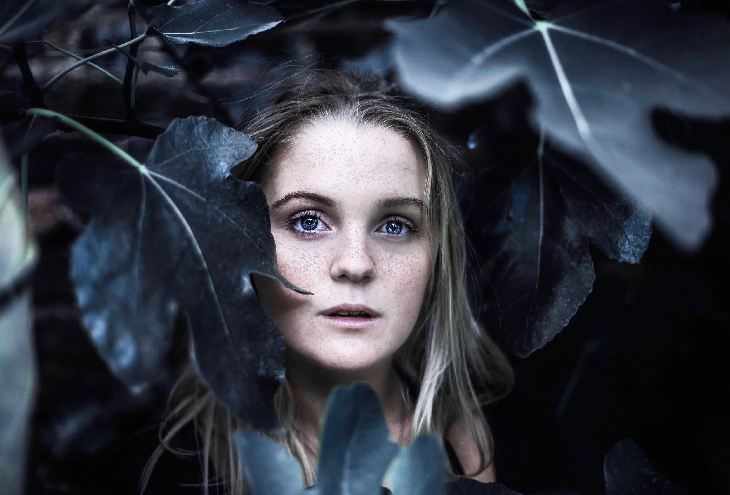 'Face towards the light'