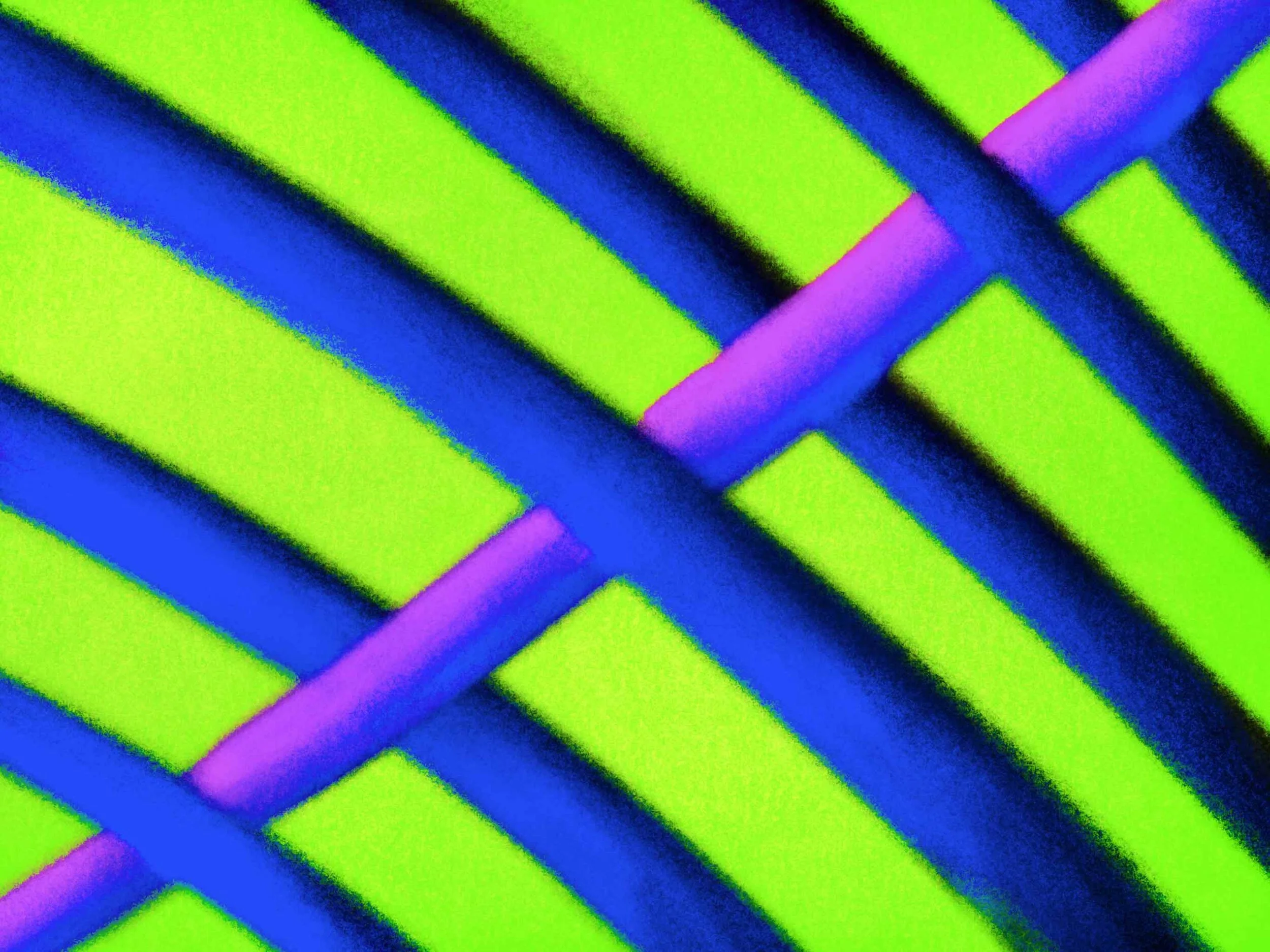 Tripi-Web-Export-1-.jpg