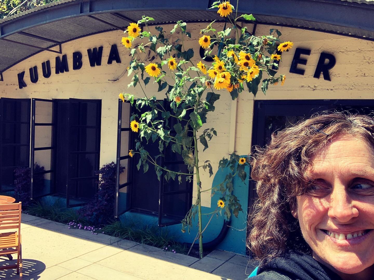 Virile sunflower volunteer outside the @kuumbwajazz once again proves that this place has the best volunteers in the world! In my late teens I washed dishes here in exchange for free admittance to the Monday night jazz concerts. An education in the l