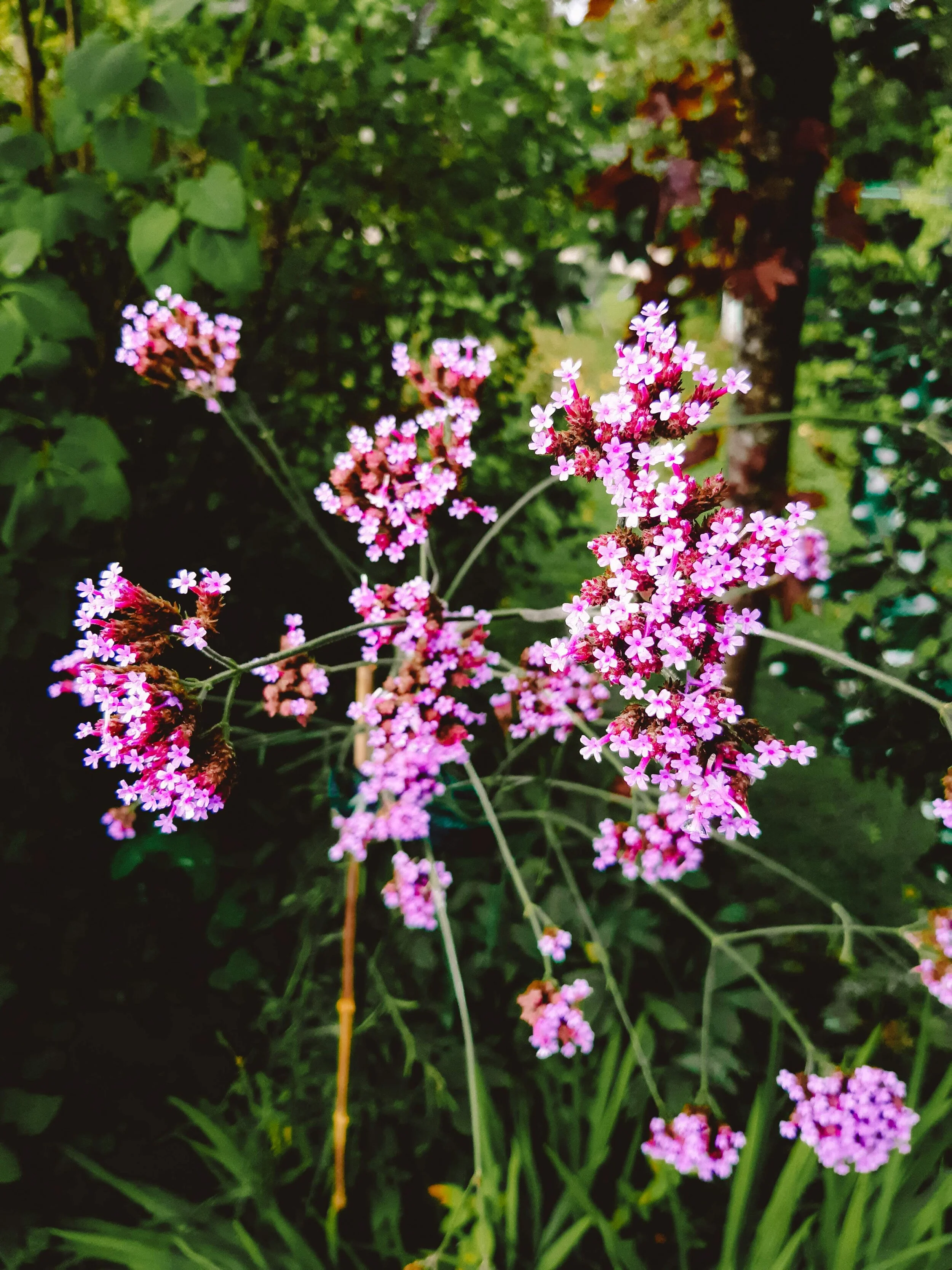 20200830_131145.jpg