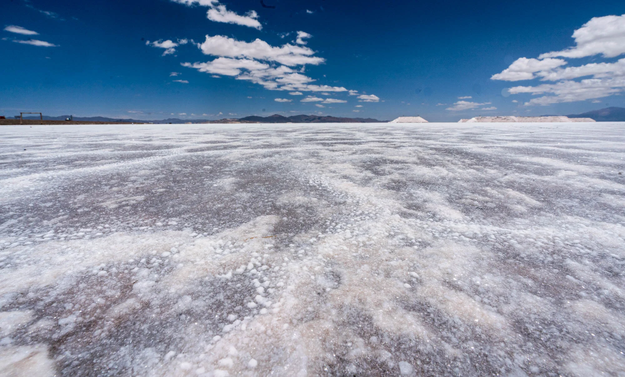 Salt!